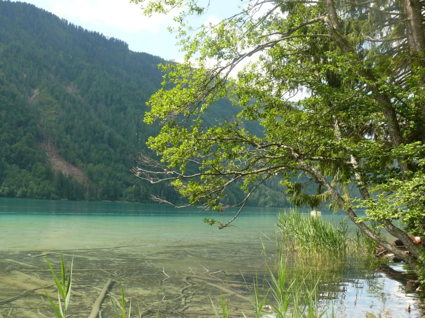 Silbertannenhütte-Buiten