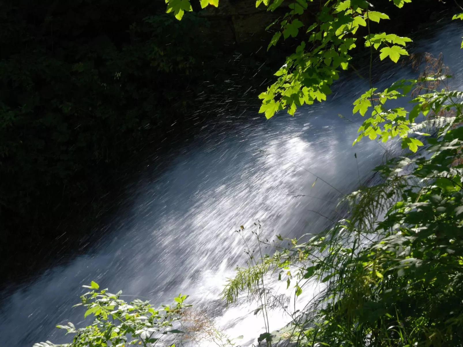 Bohemia 1 in Gargellen-Image-tags.info