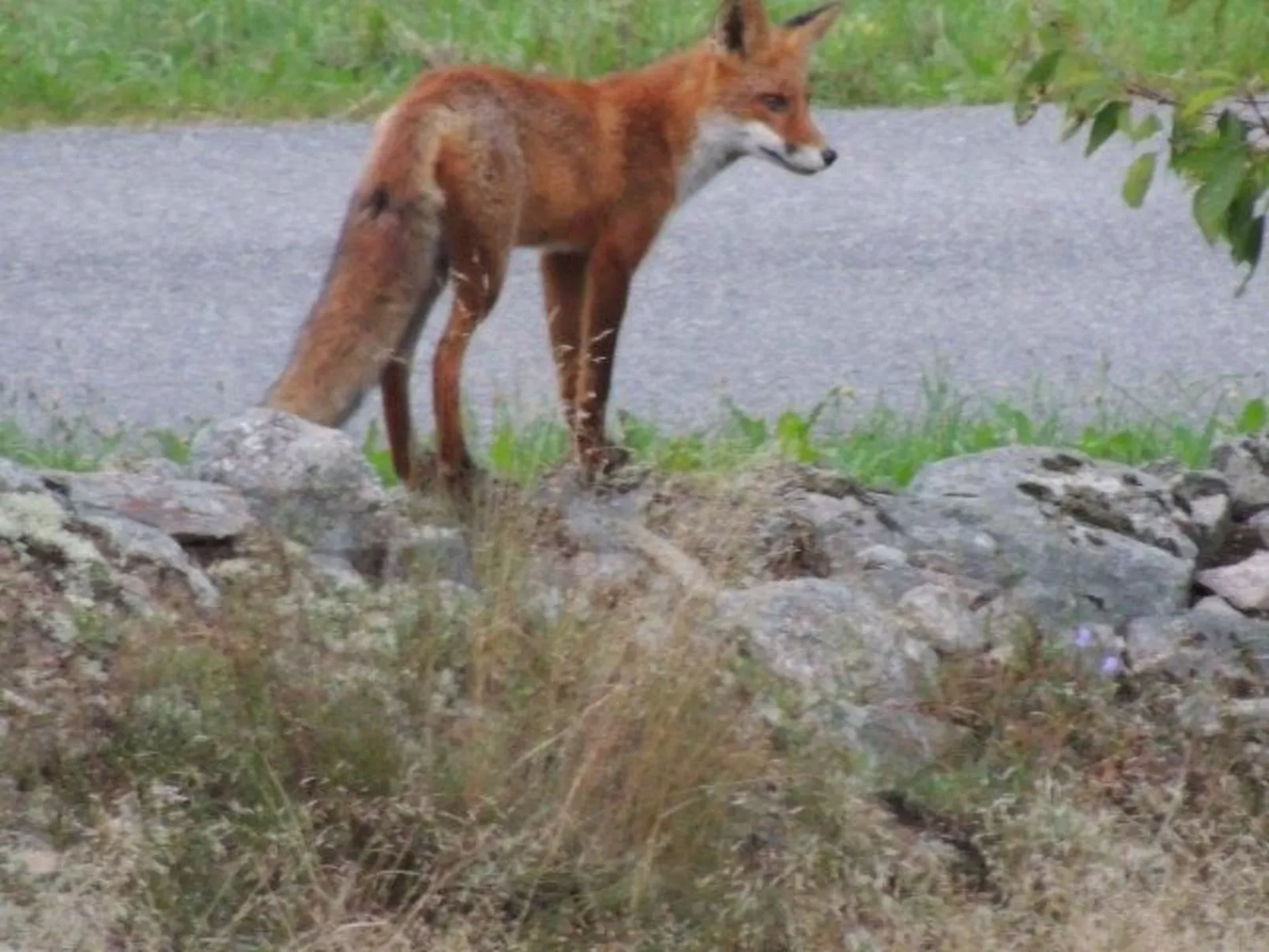 Modernes Haus mit hellem Dekor, mit Blick auf den See-Binnen