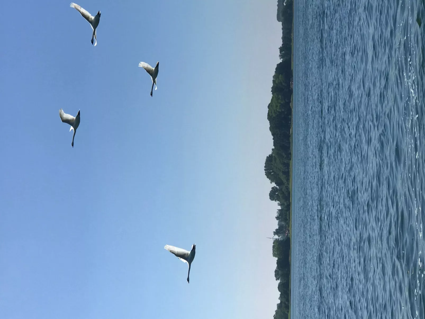 Hygge hus, tolle Ostseelage, freier Blick auf Felder-Buiten