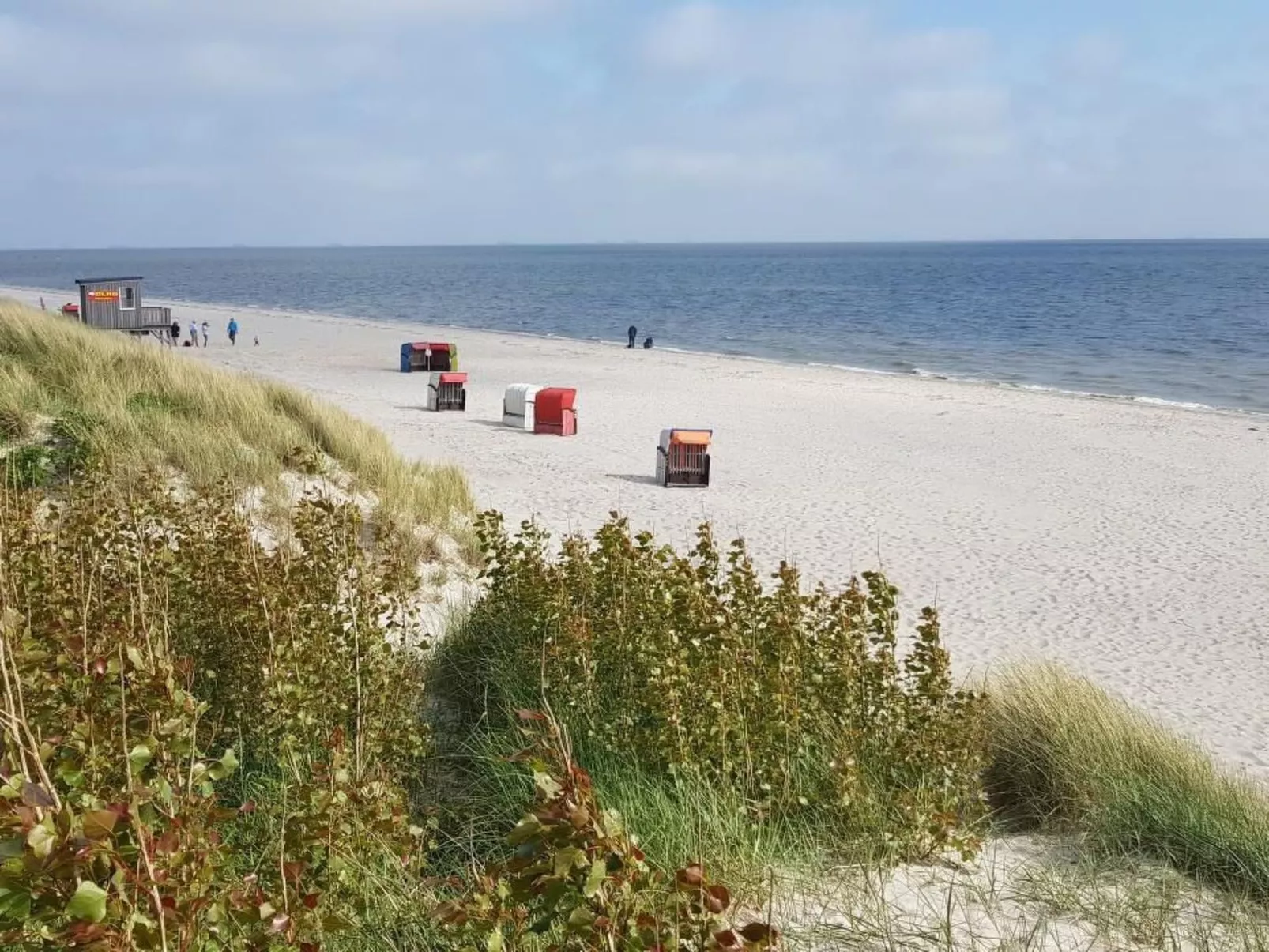 Herich-Image-tags.info