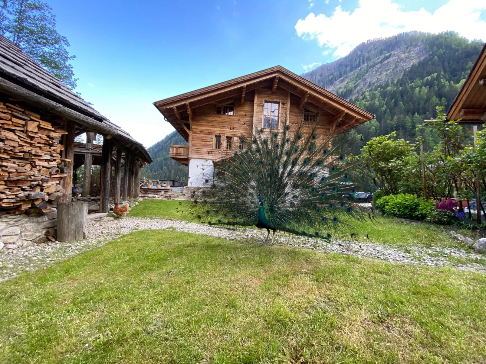 Panoramasuite-Binnen