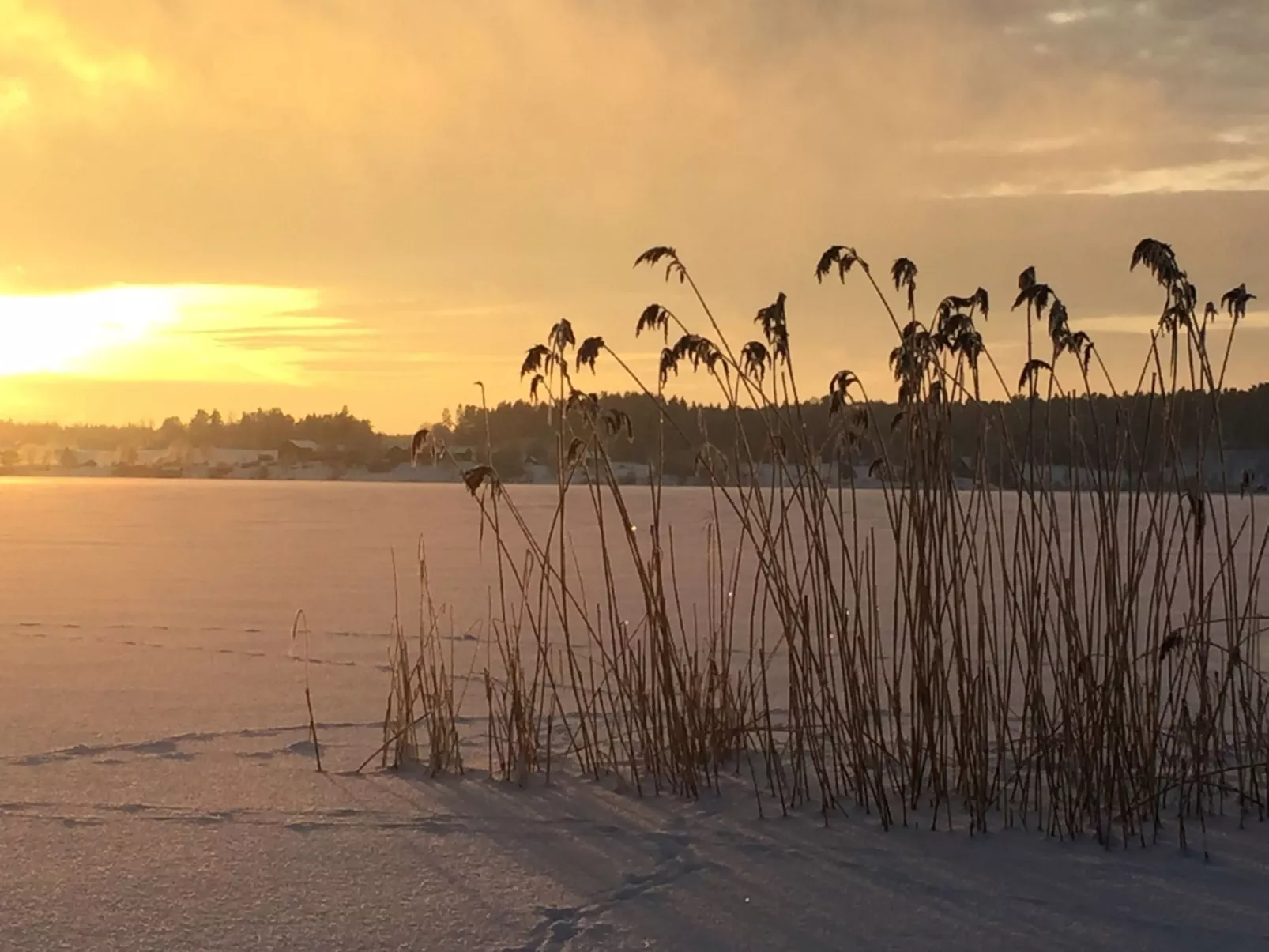 Nachhaltig und gefühlvoll in Seenähe-Image-tags.info