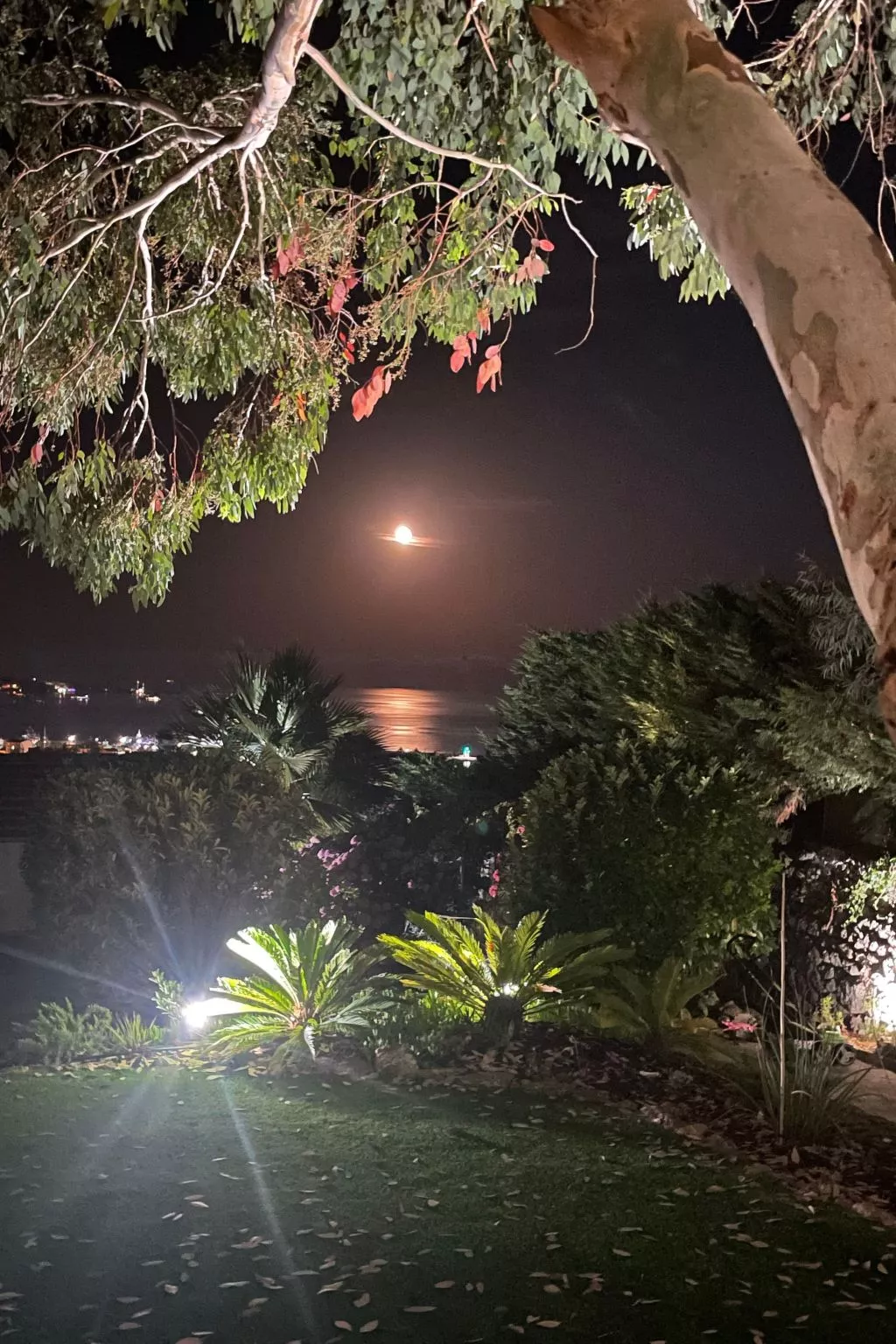 Ferienvilla mit Blick auf das Wasser-Buiten