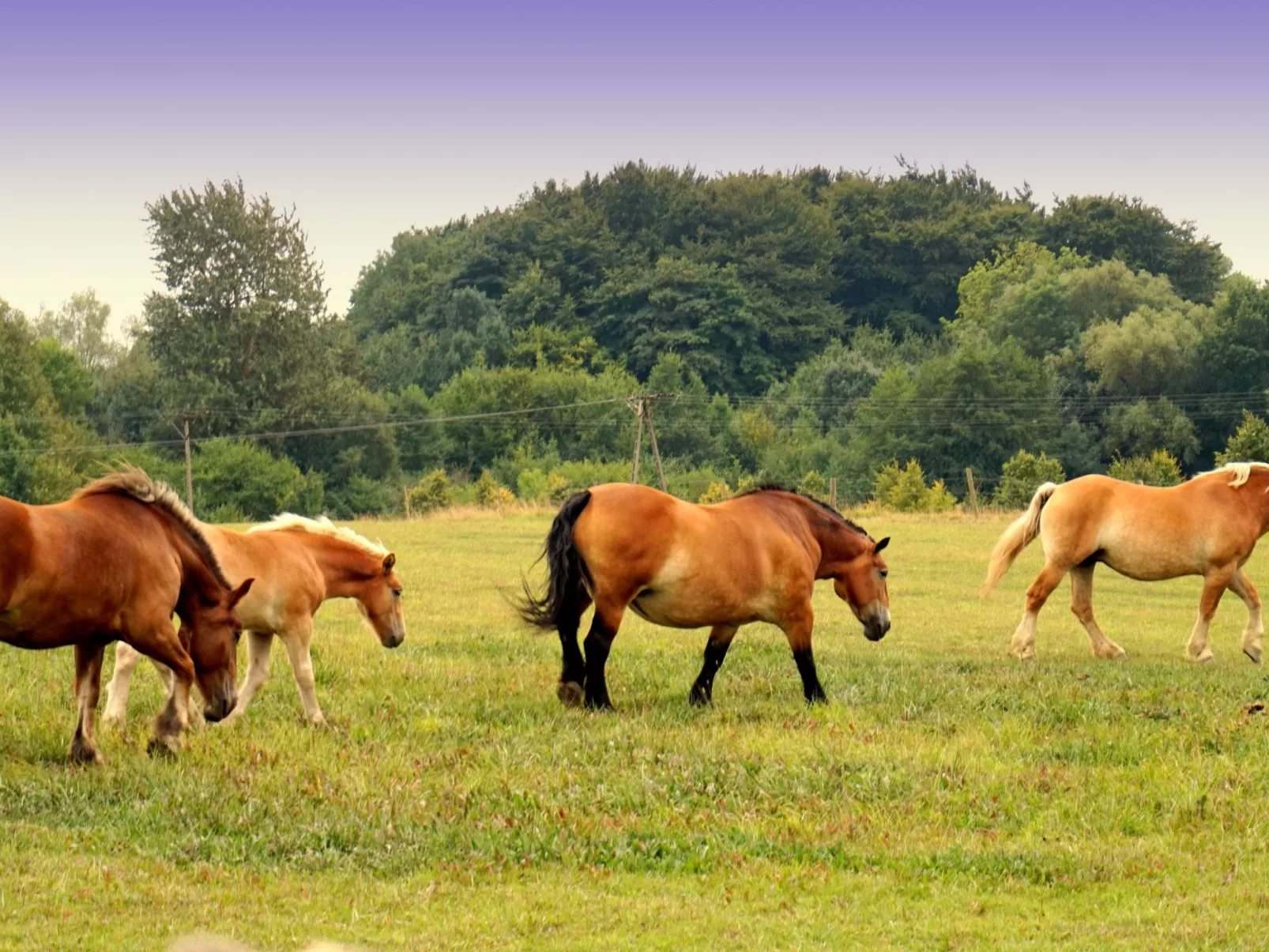 "Verano" mit Privatparkplatz-Binnen