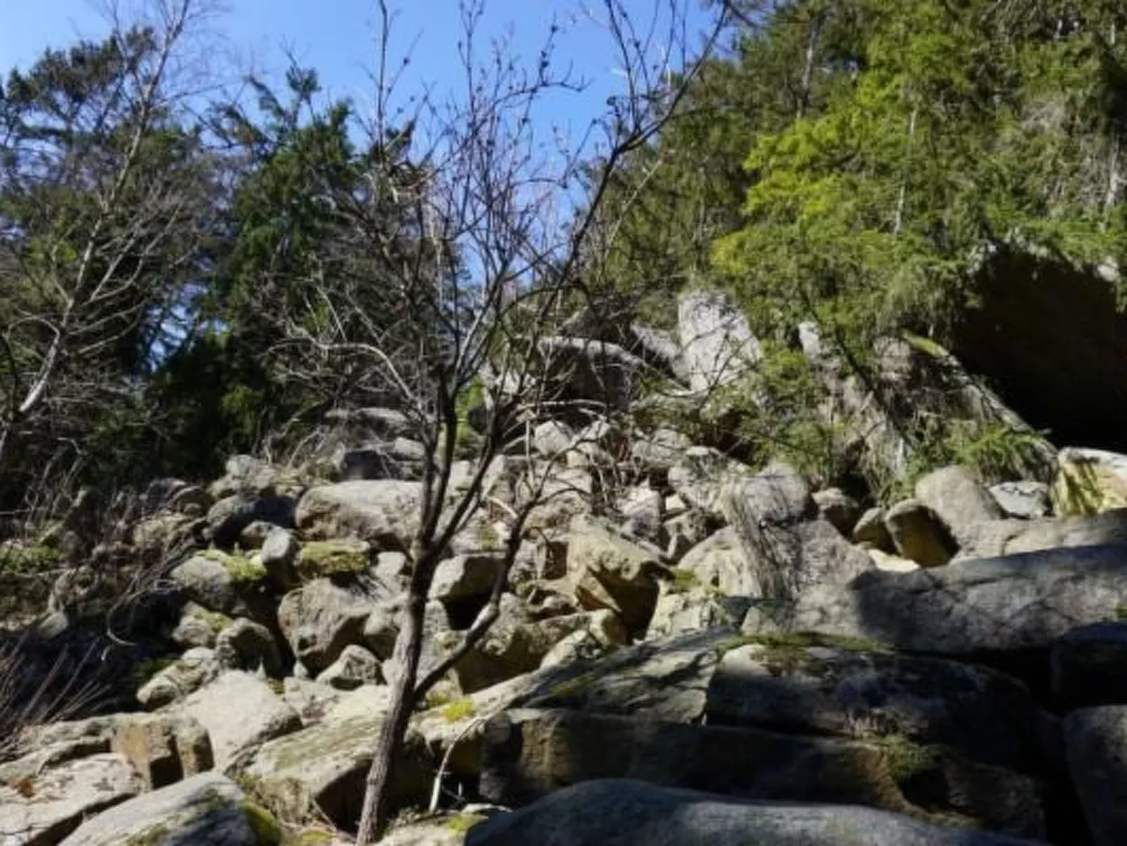 Feriendomizil Adler-Buiten