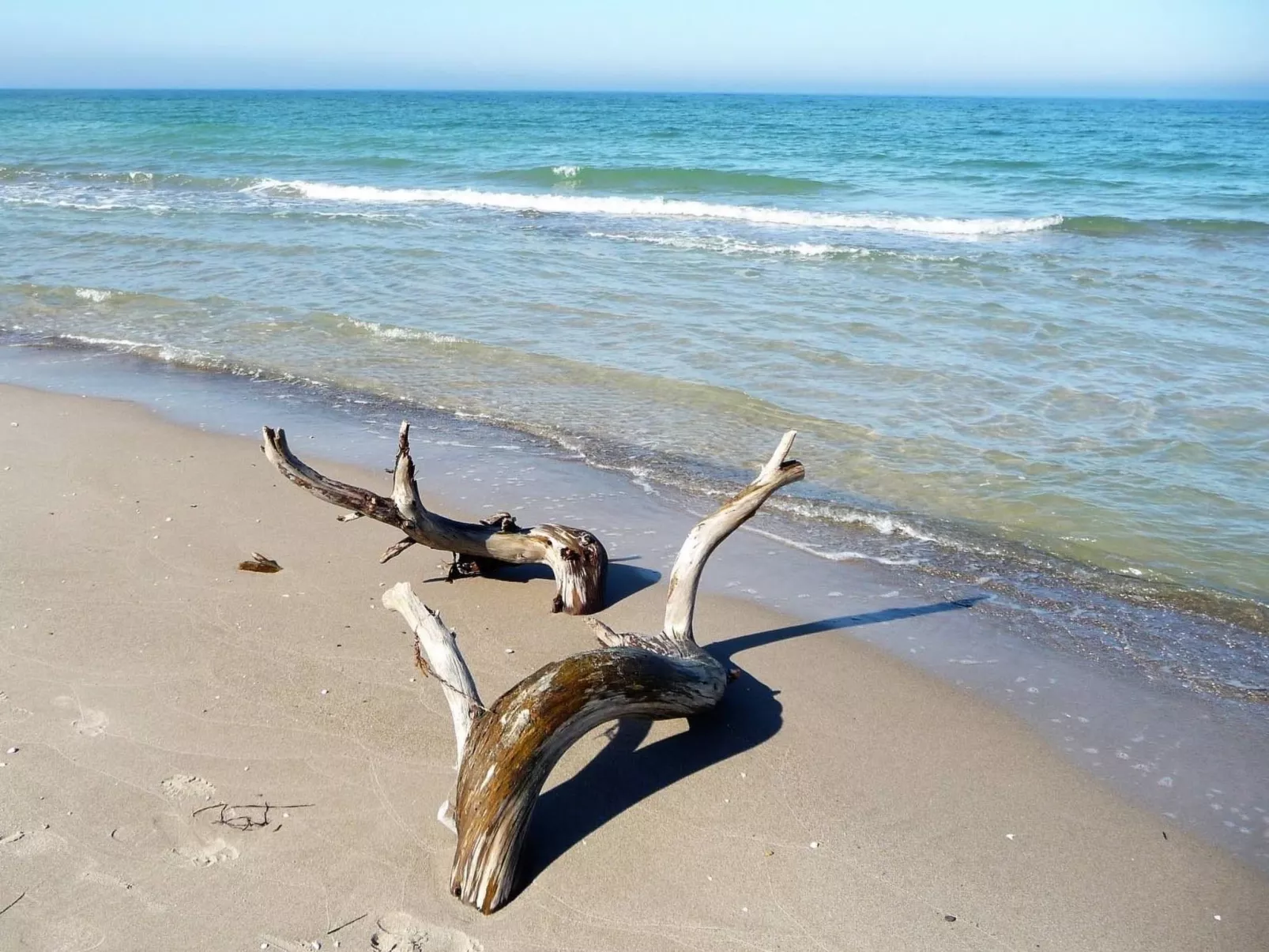 Wiesenblick 5-Binnen