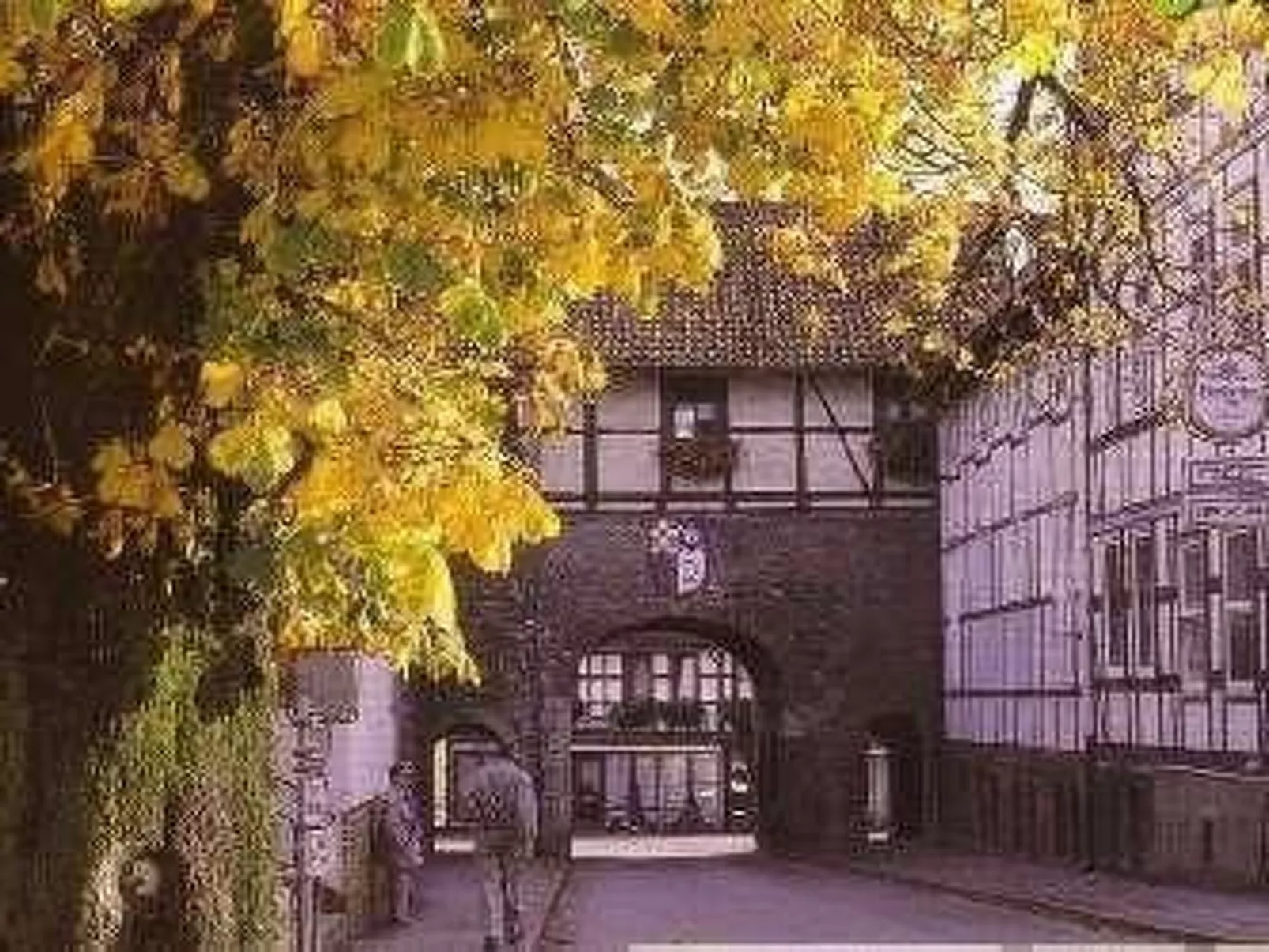 Fewo Stricker 13-Buiten