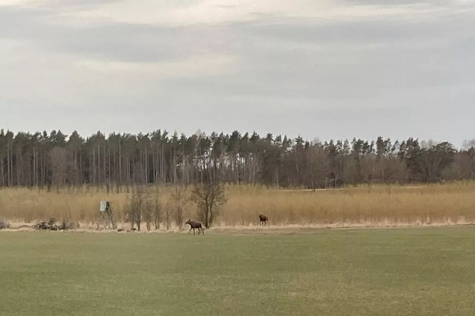6 persoons vakantie huis in GRÄSTORP-By Traum-Niet-getagd