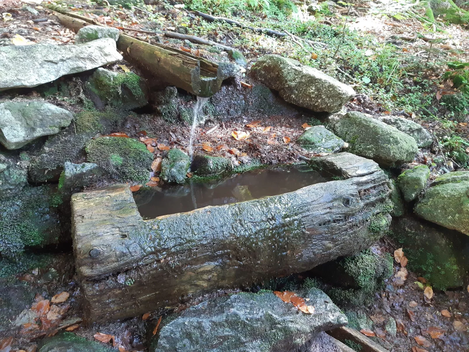 AnNo Wohlfühlplatzl-Image-tags.info