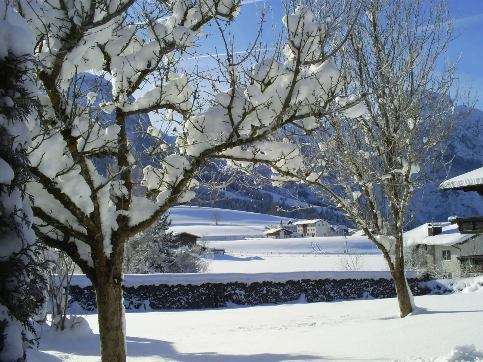 Gsenger in Abtenau-Buiten