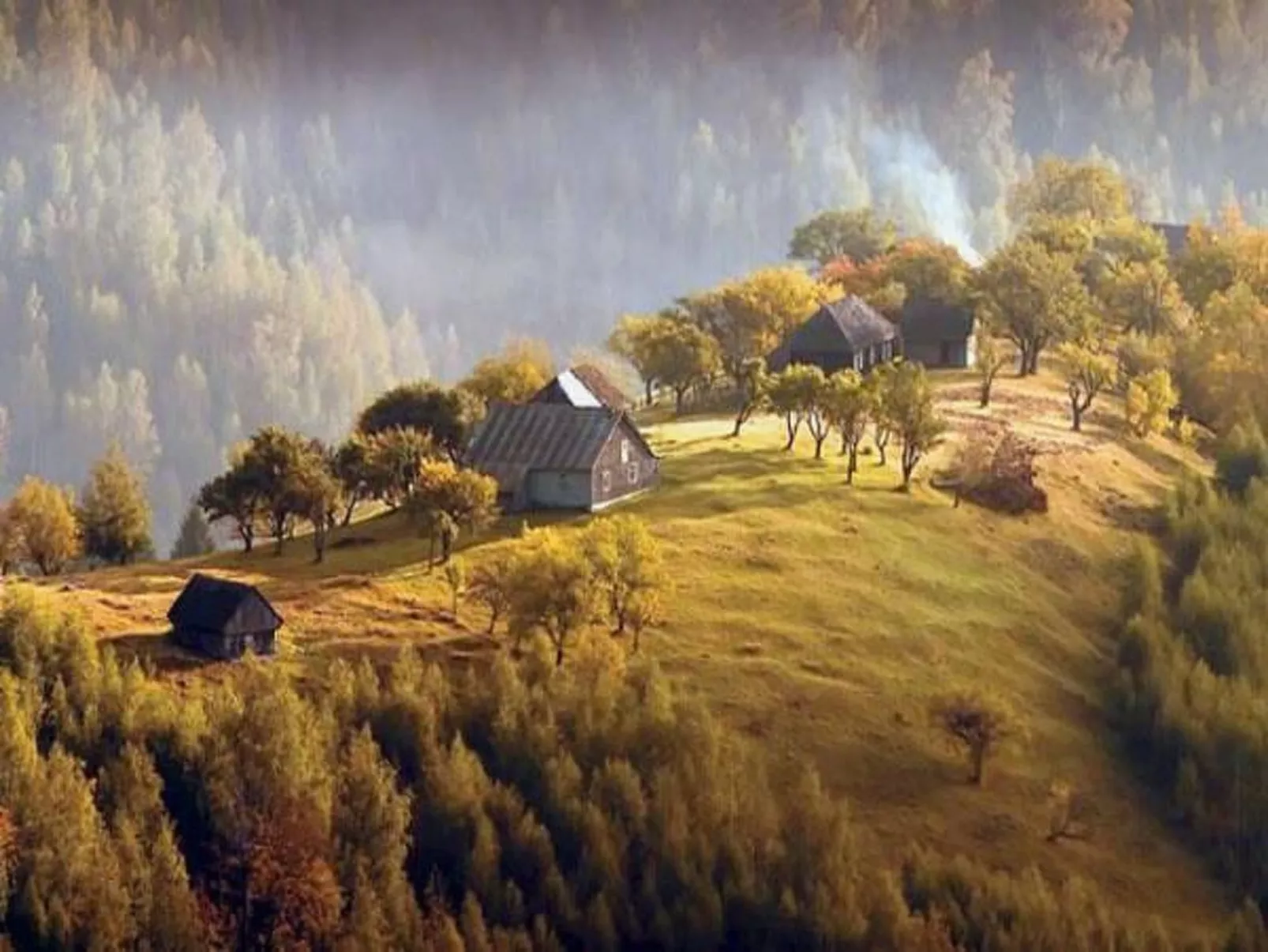Casa Zollo - nahe den Karpaten Transsilvaniens-Buiten