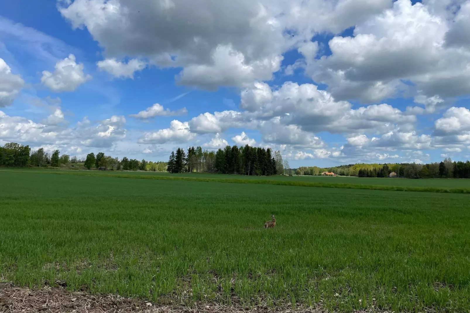 6 persoons vakantie huis in GRÄSTORP-By Traum-Niet-getagd