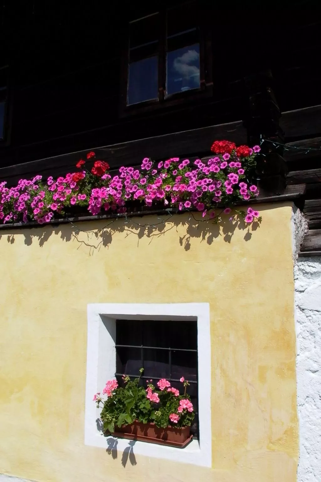 Große Wohnung im ersten Stock, mit großem Garten-Buiten