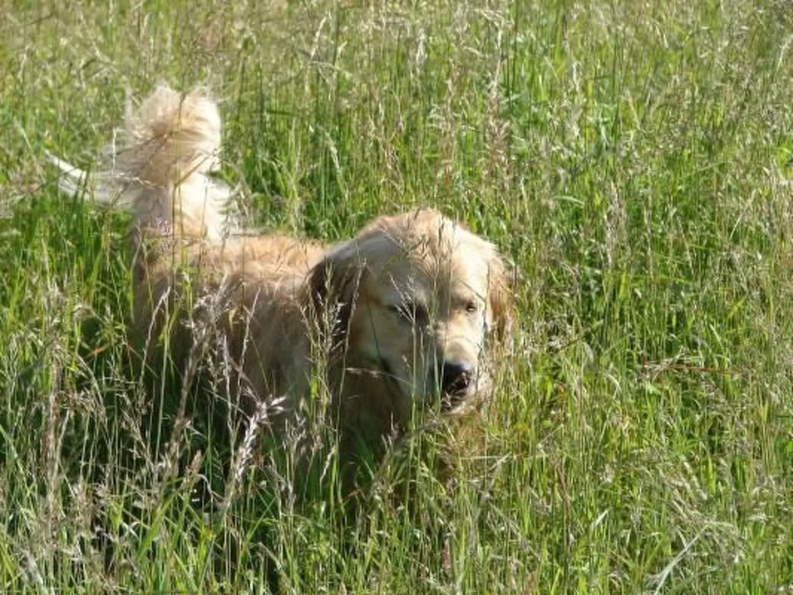 In Winnemark mit Großem Garten-Buiten