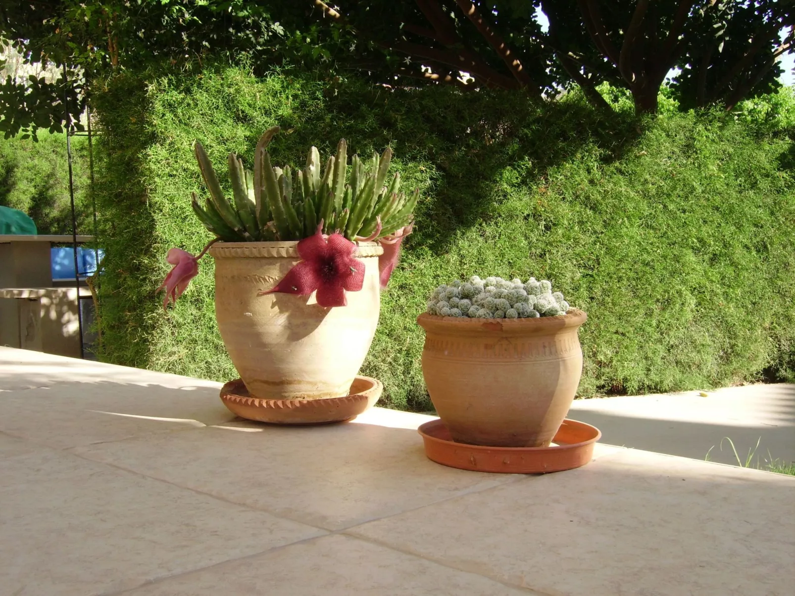 Für fünf Personen mit Balkon-Image-tags.info