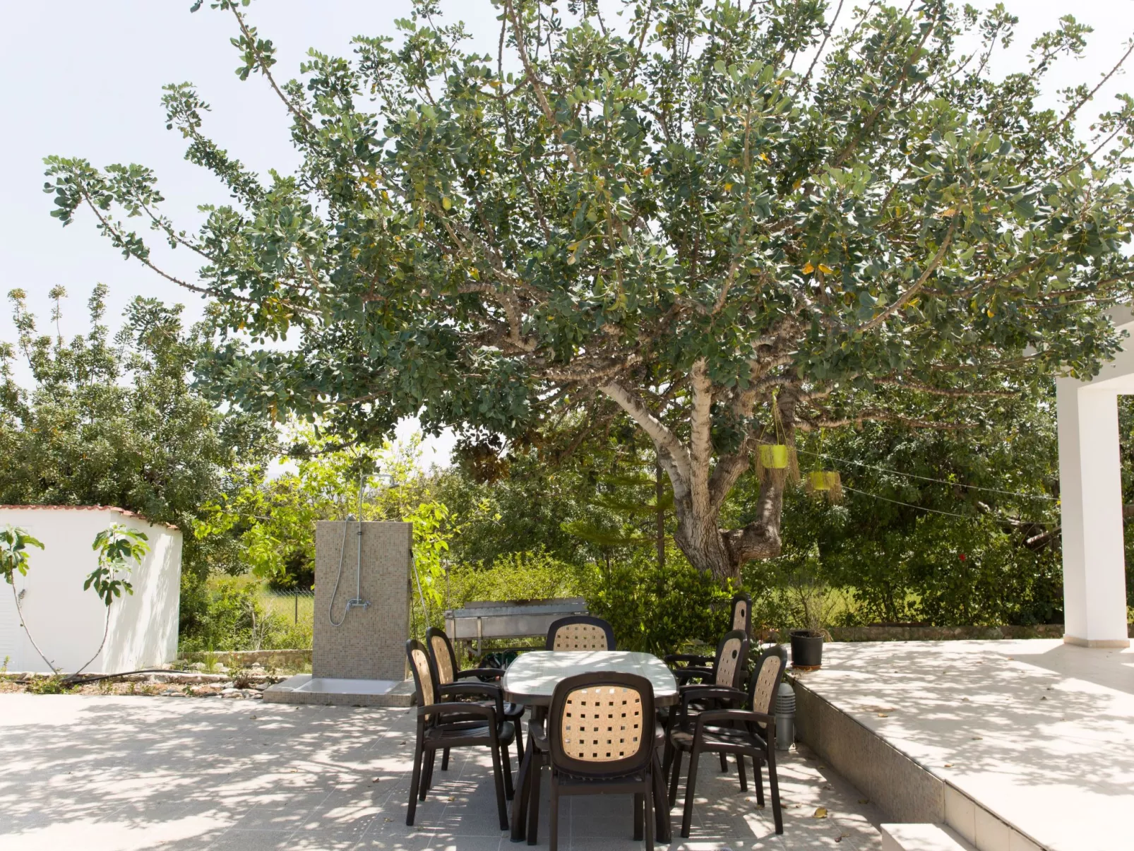 Mit Privatpool für 8 Personen ca. 220 m&sup2; in Neo Chorio, Halbinsel Akamas - Buiten