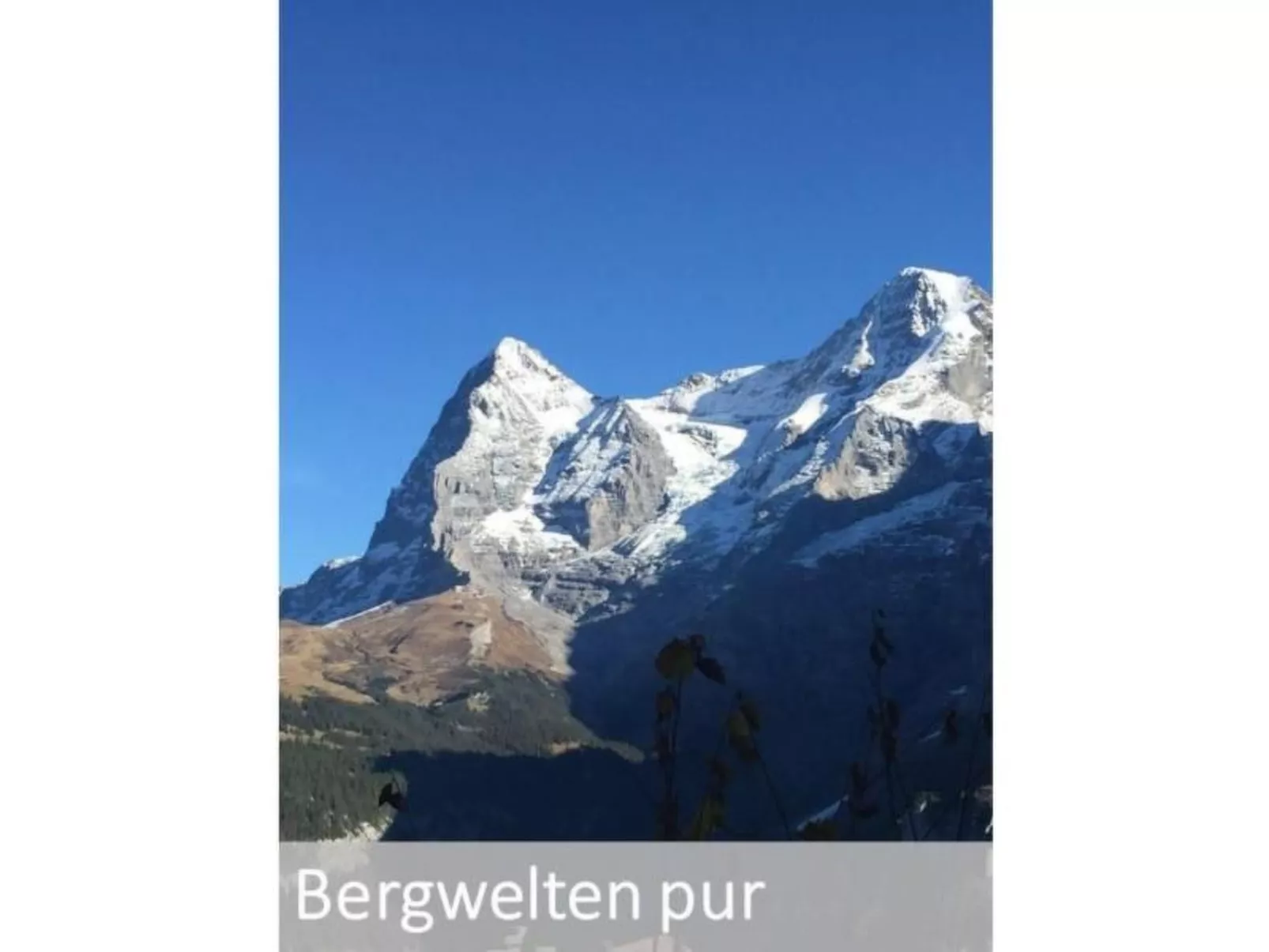 Panorama 2 Bett Wohnung-Binnen