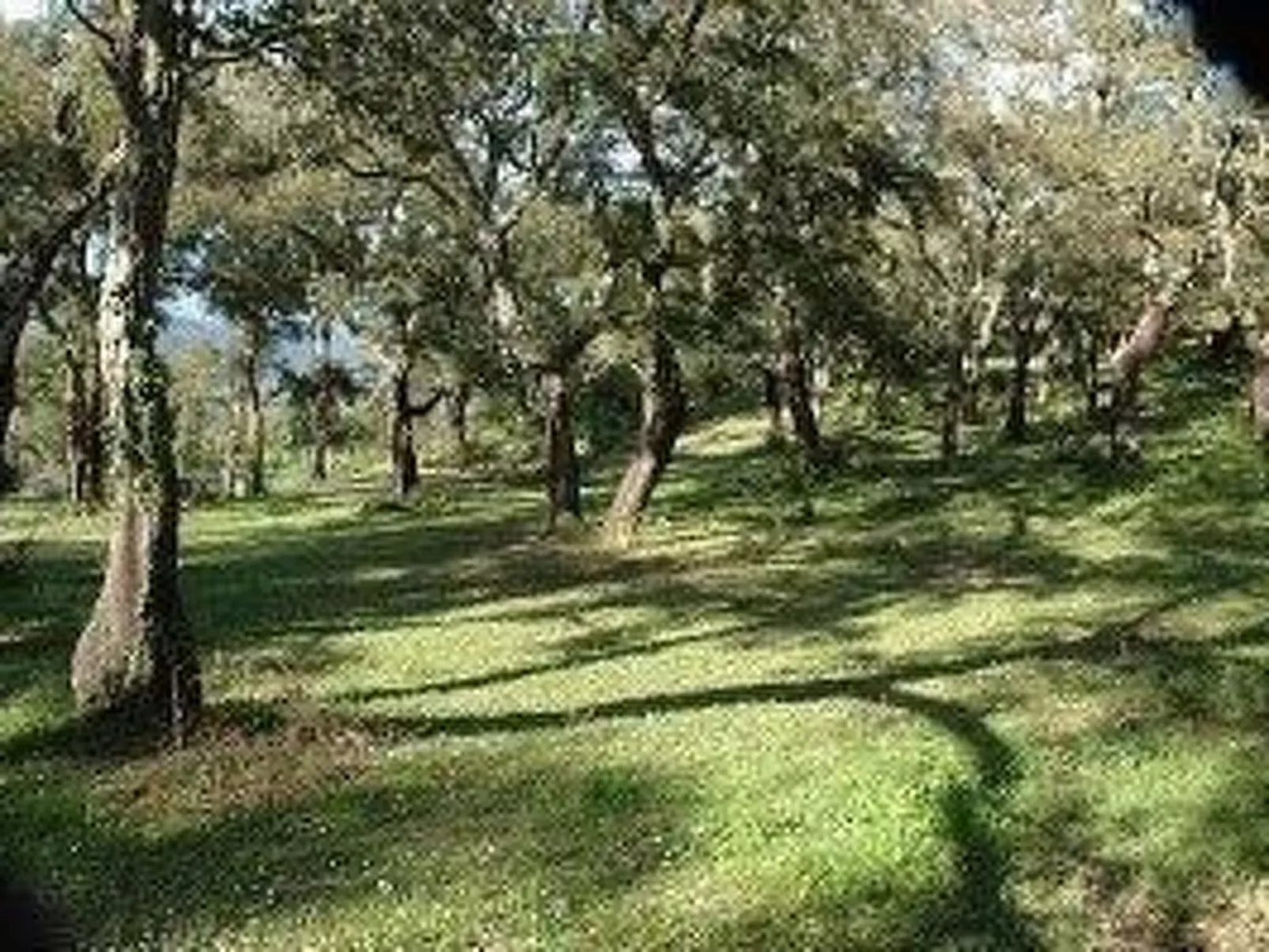 Wunderschönes Ferienhaus mit eigener Terrasse-Binnen