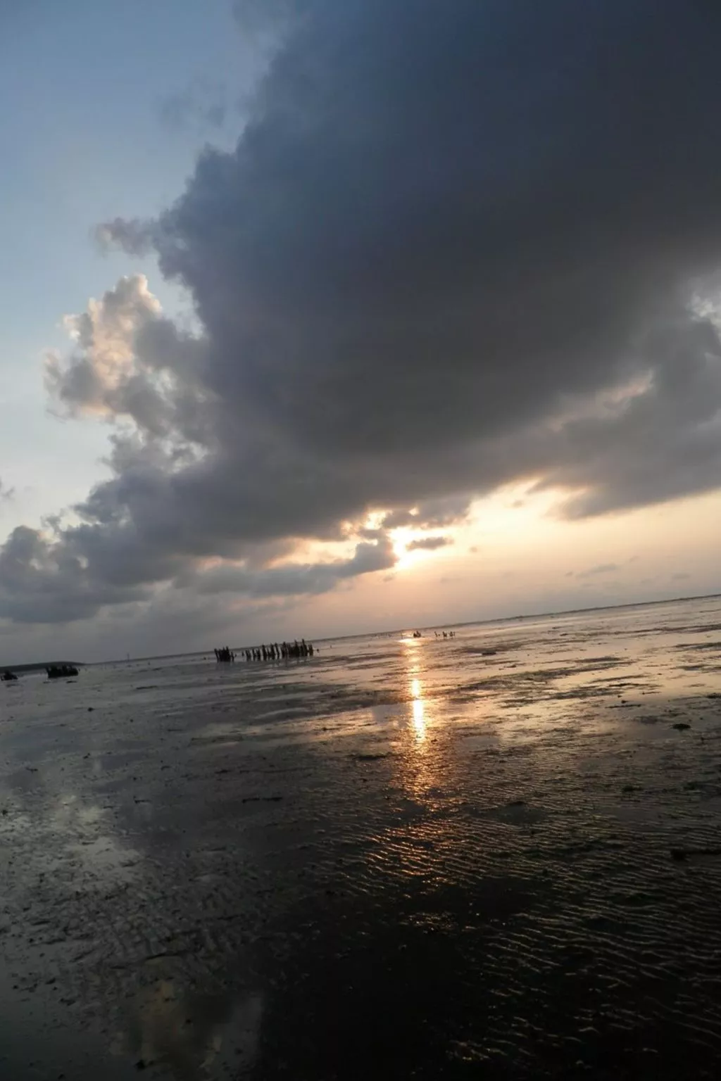 138 Merle-Image-tags.info