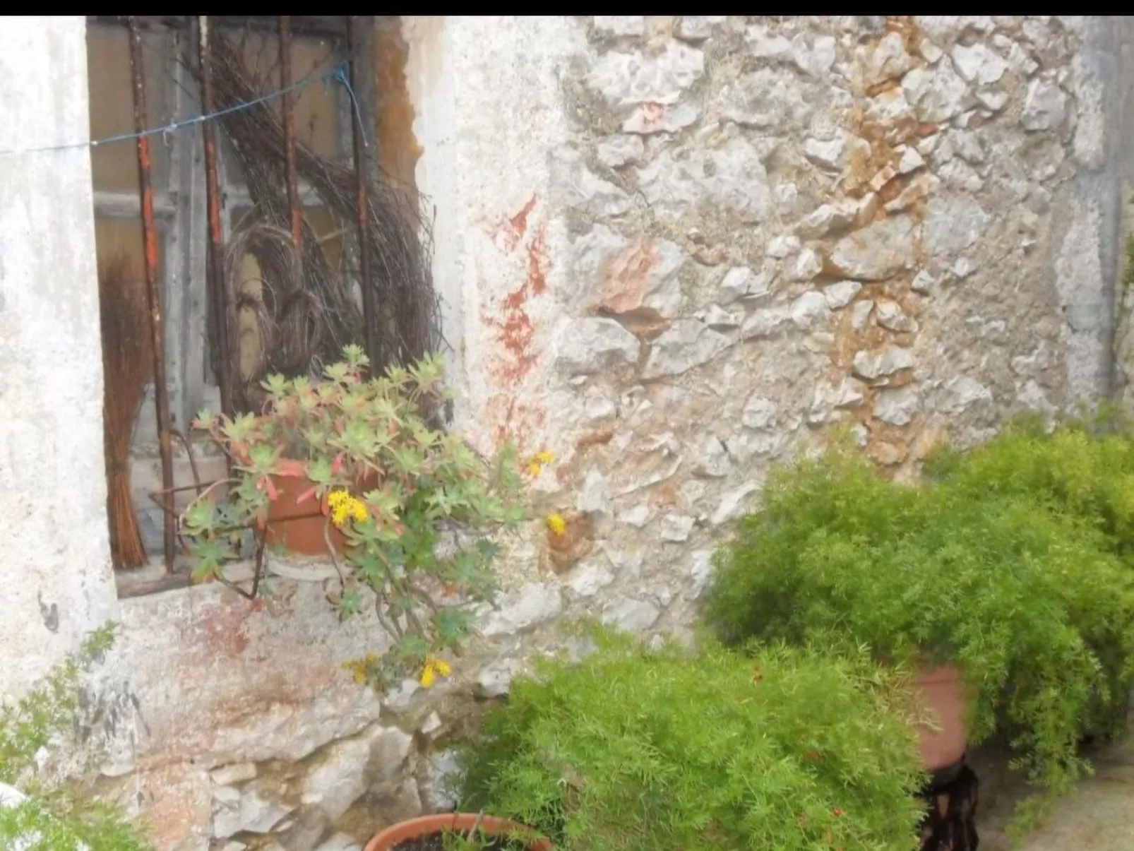 Gemütliche Ferienwohnung im Erdgeschoss - Buiten