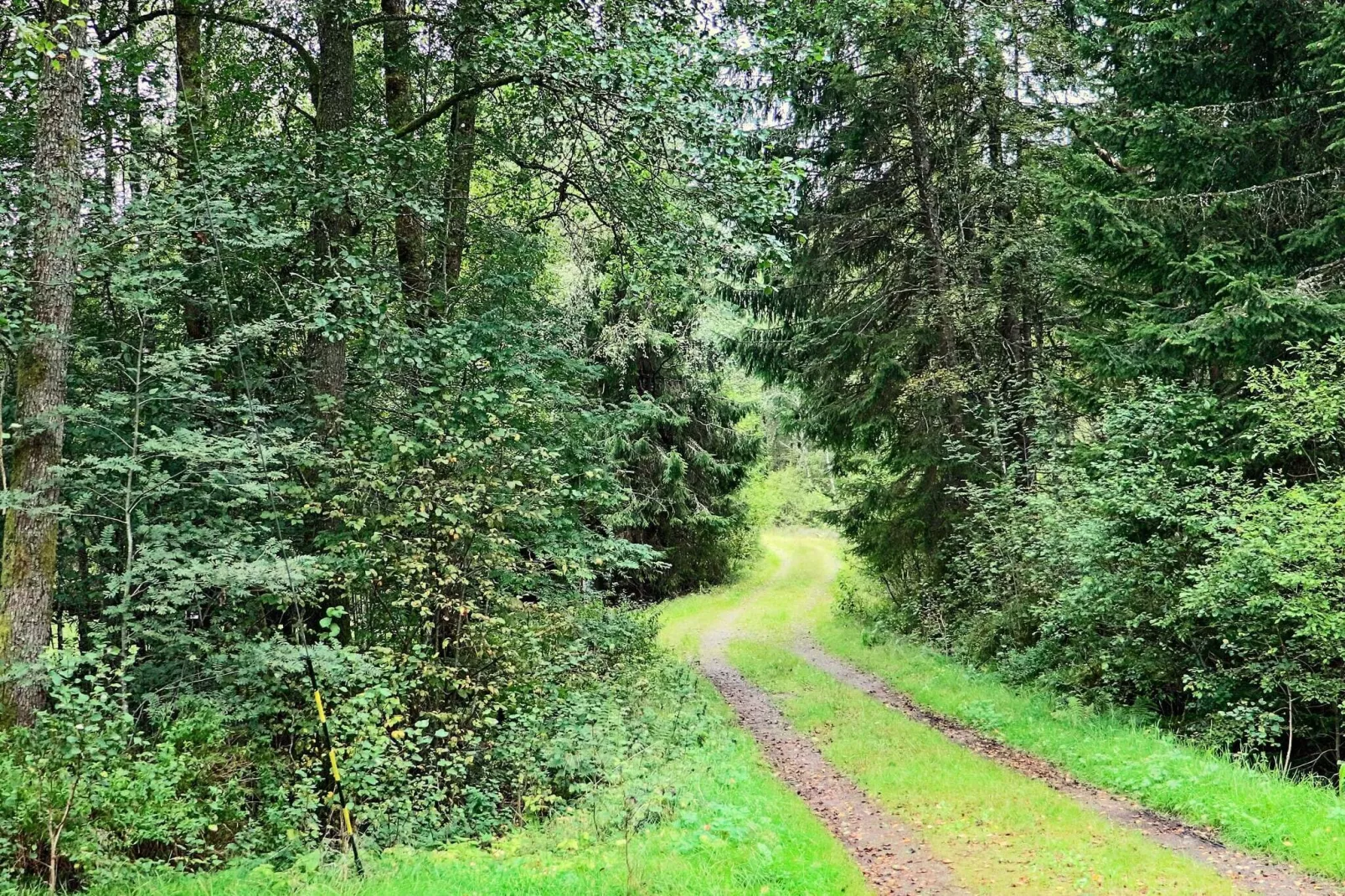 4 sterren vakantie huis in ULLARED-Buitenlucht