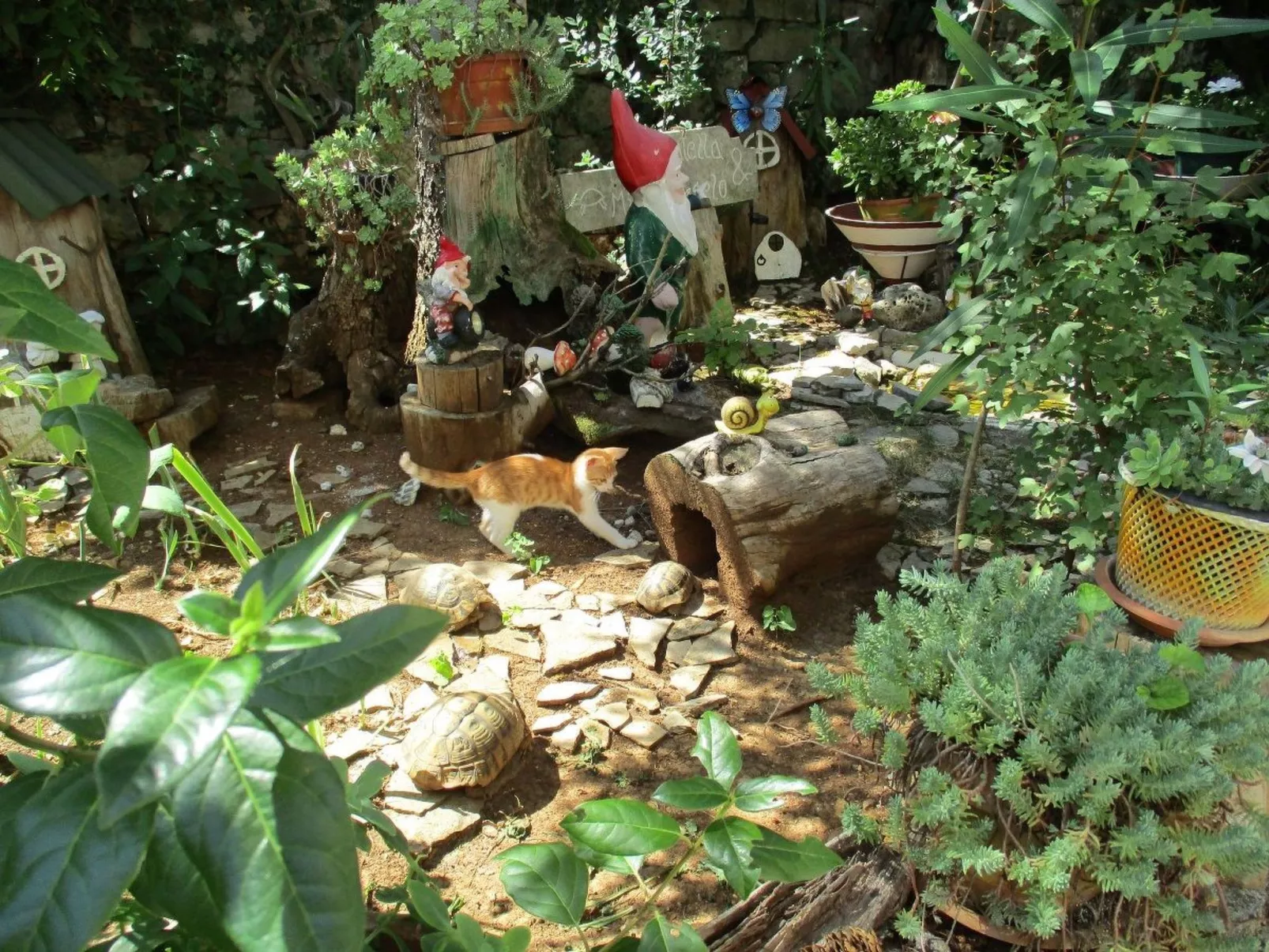 Mit Balkon und Terrasse-Binnen