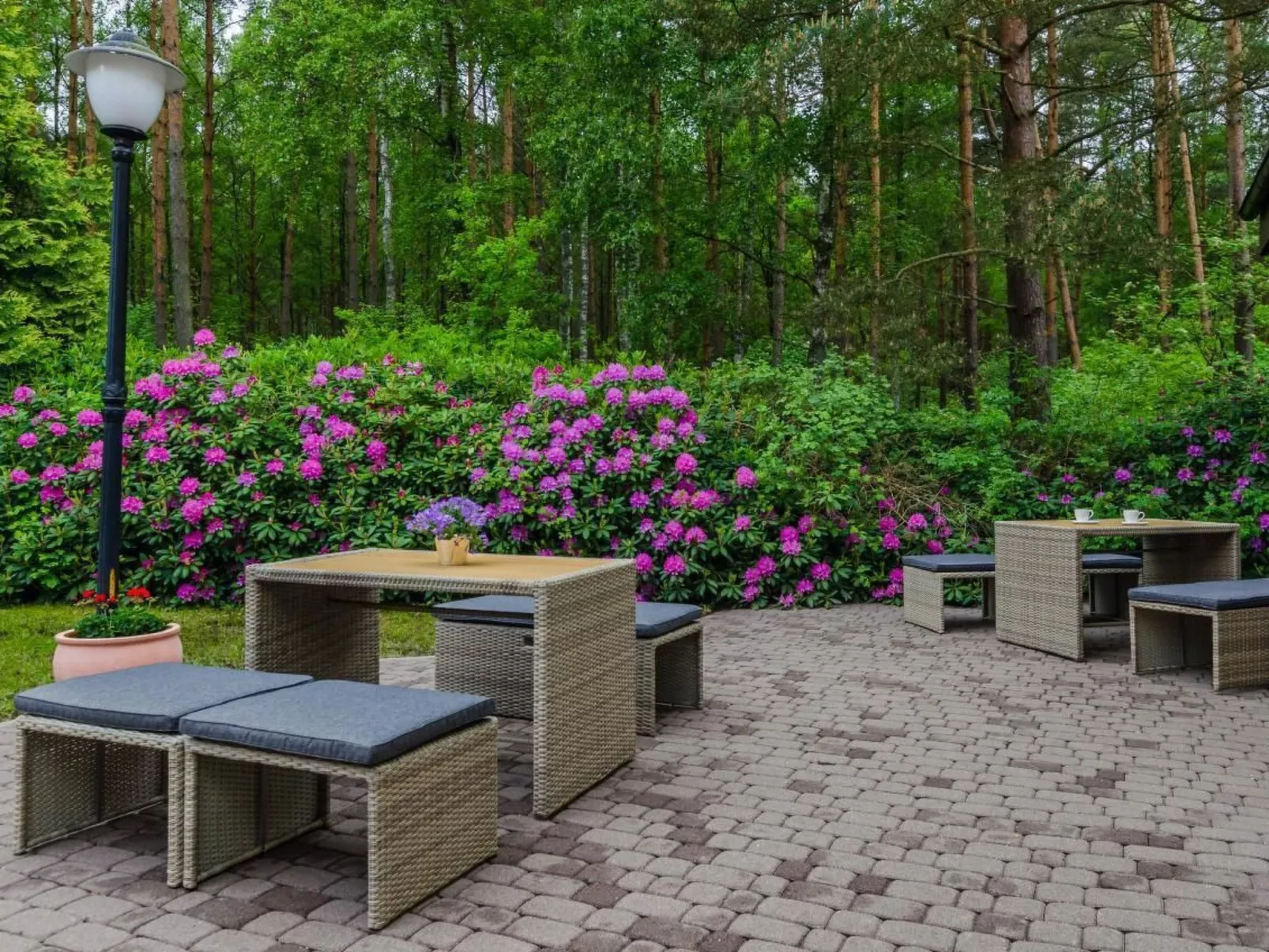 Wohnung "Apartment6" mit Grill und Garten-Buiten