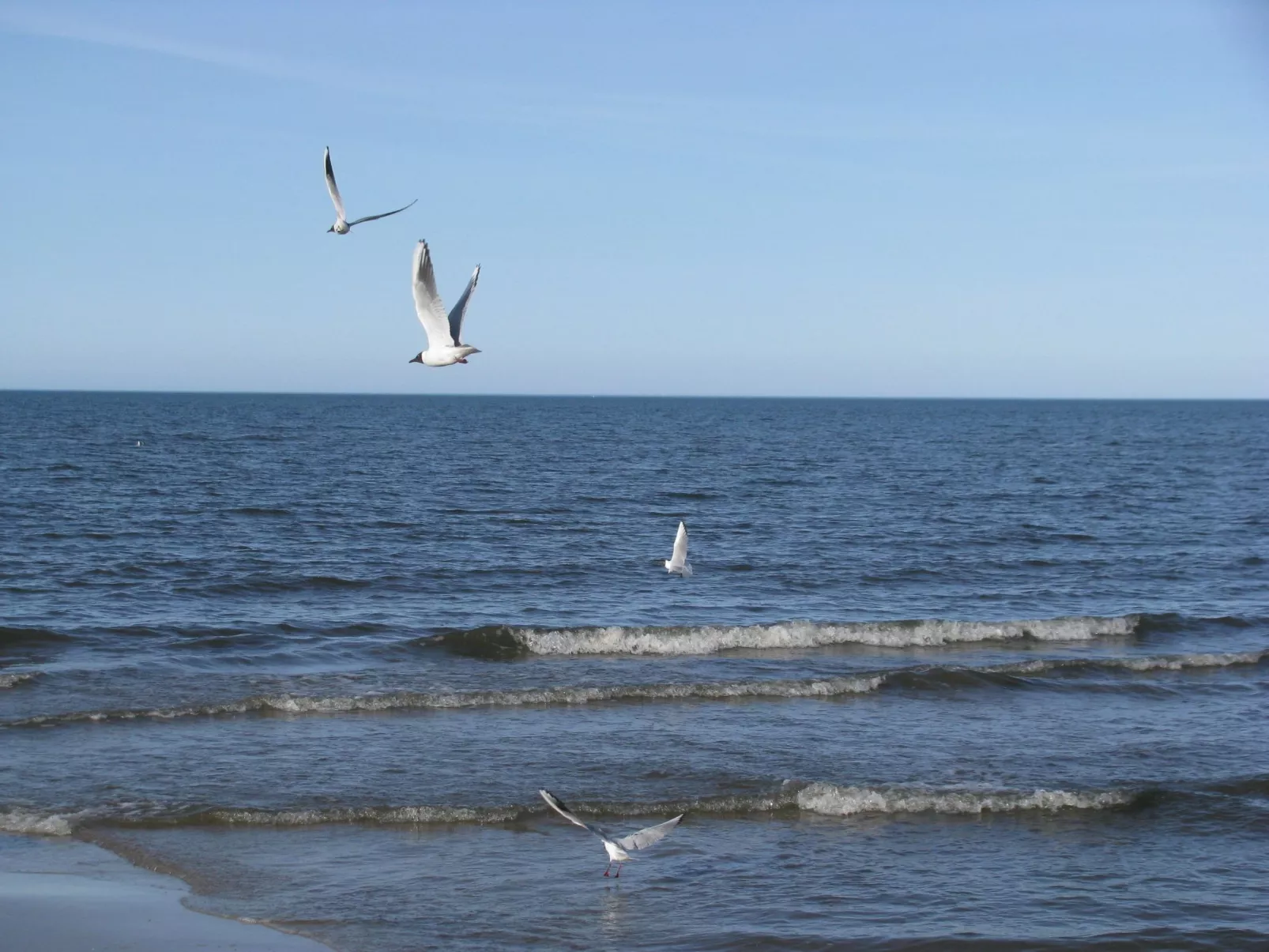Wunderschönes Ferienhaus in Zinnowitz-Binnen
