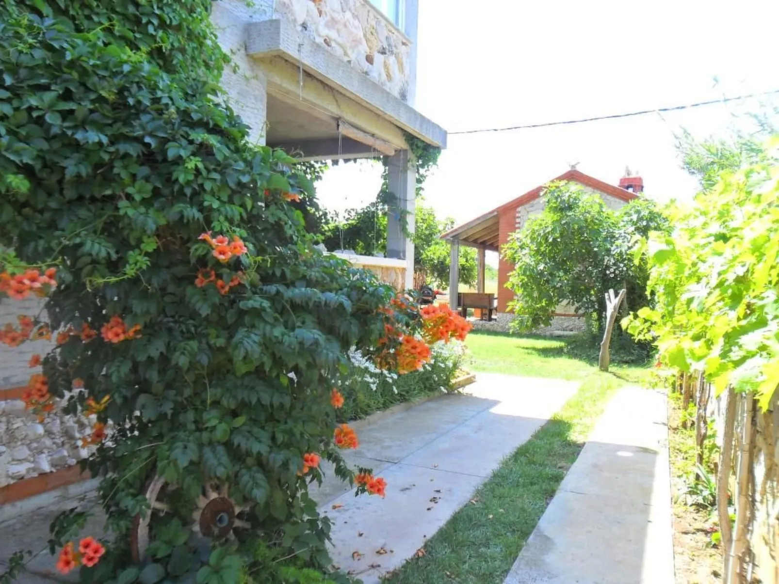 Delfin mit Meerblick - Agentur TA Leut-Buiten