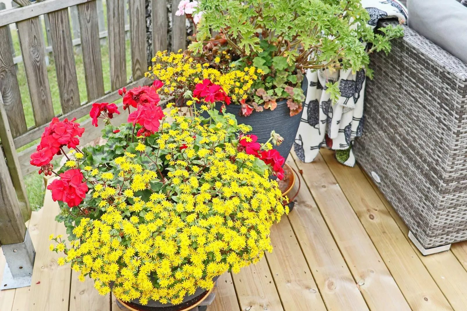 5 persoons vakantie huis in FALKENBERG-By Traum-Buitenlucht