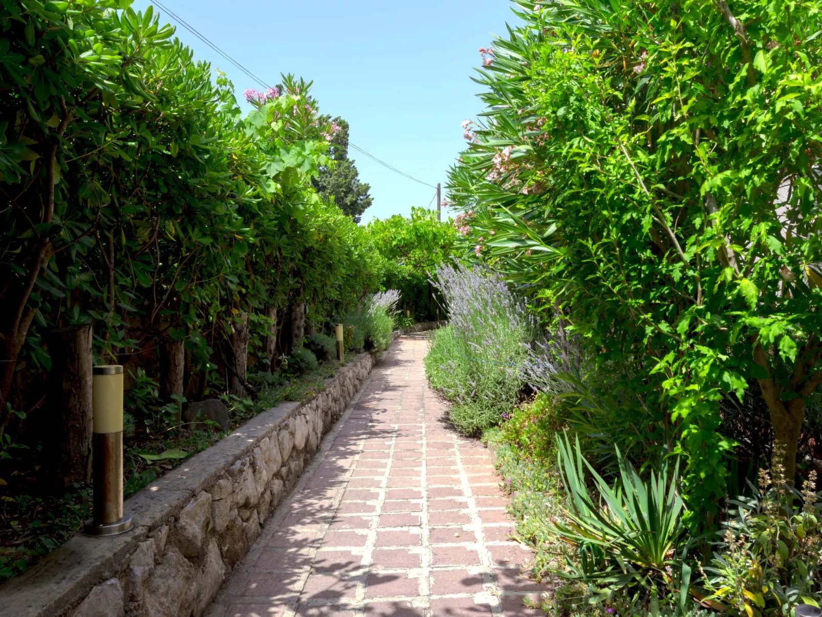 "Buka Calm VIIi-Buiten