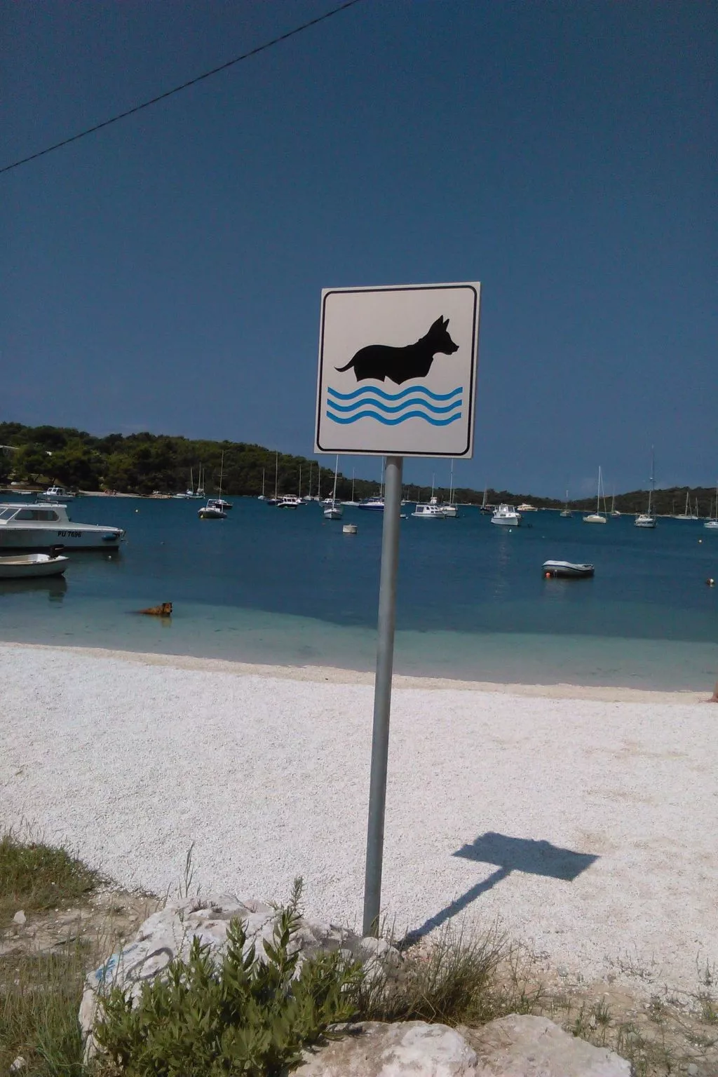 "Stefanija"-Image-tags.info