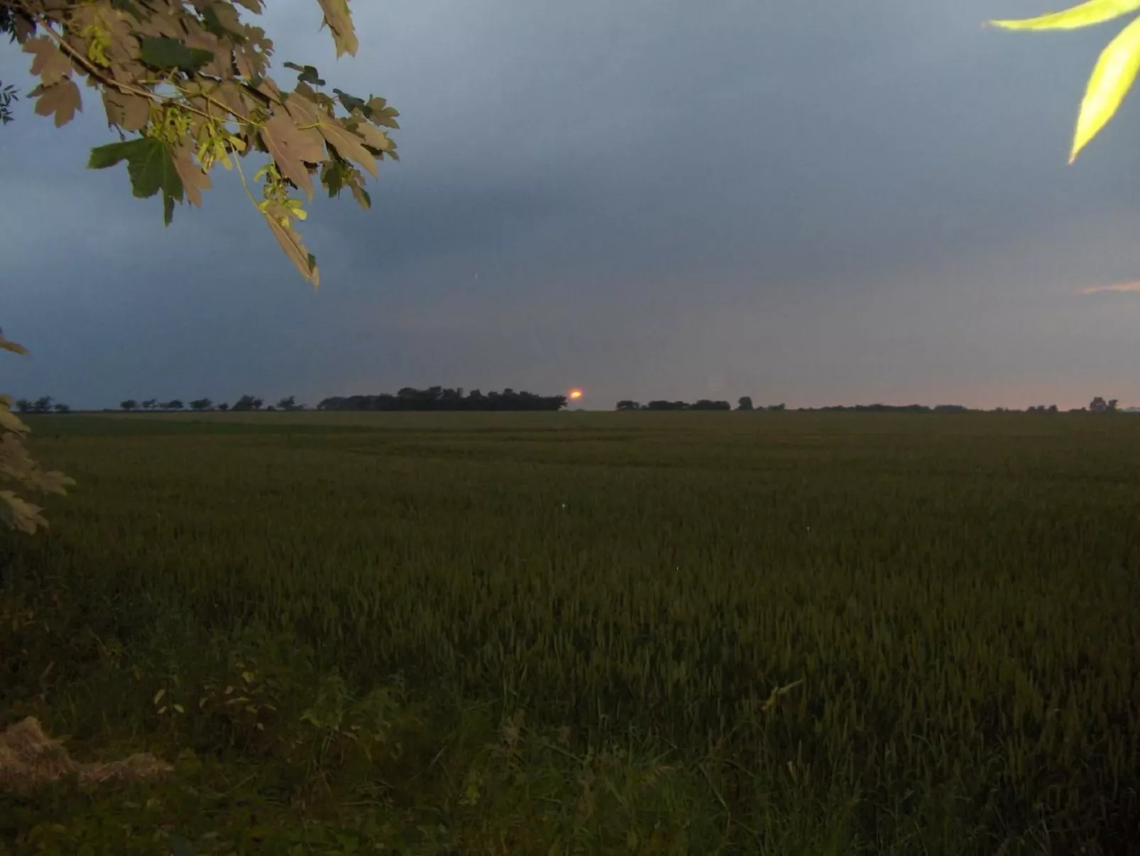 Fewo Skjærnsøde-Buiten