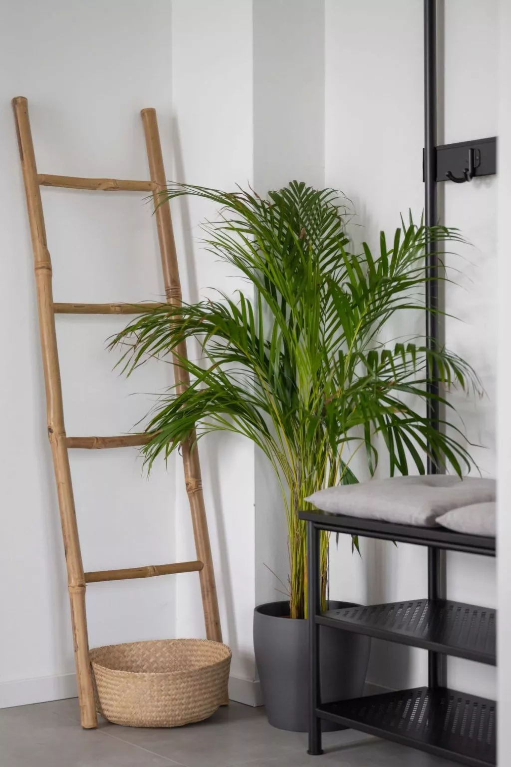 Villa Dream mit Pool nahe Labin-Binnen