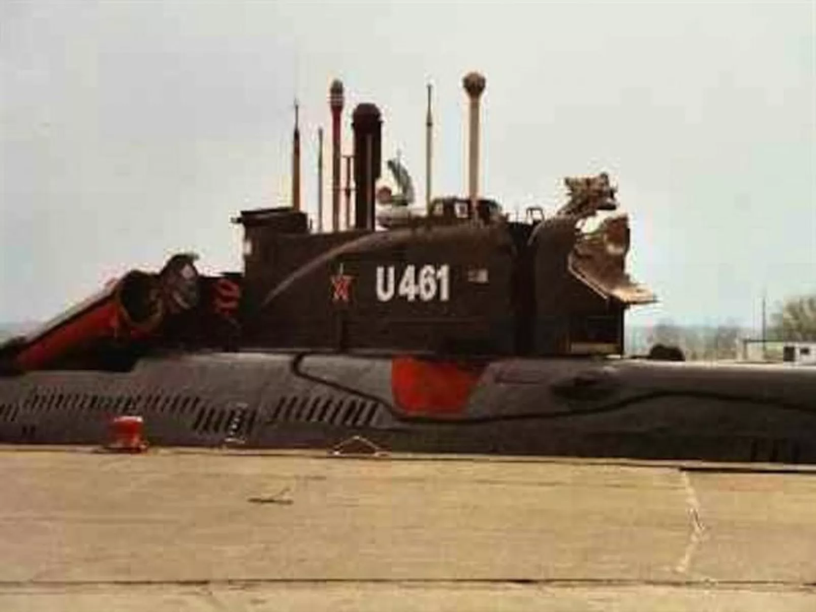 Lilly-Image-tags.info