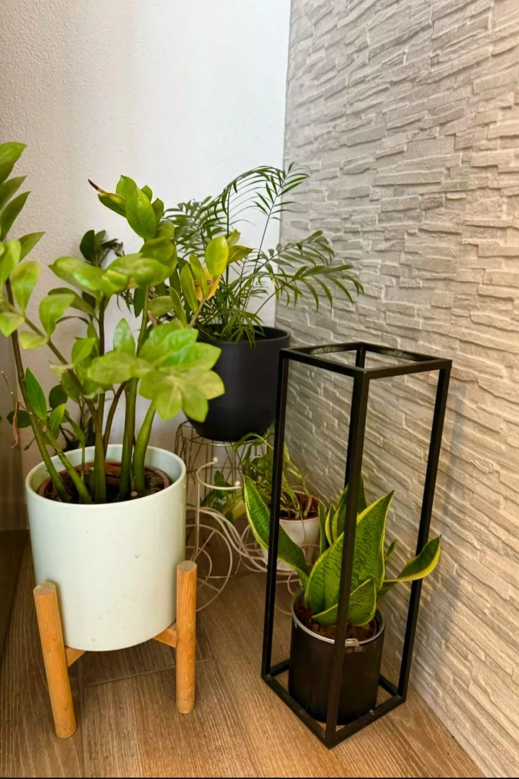 Fabo in Dalmatien-Binnen