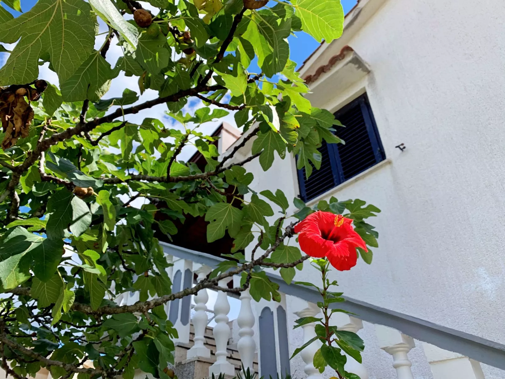 Apartment Horvat-Binnen