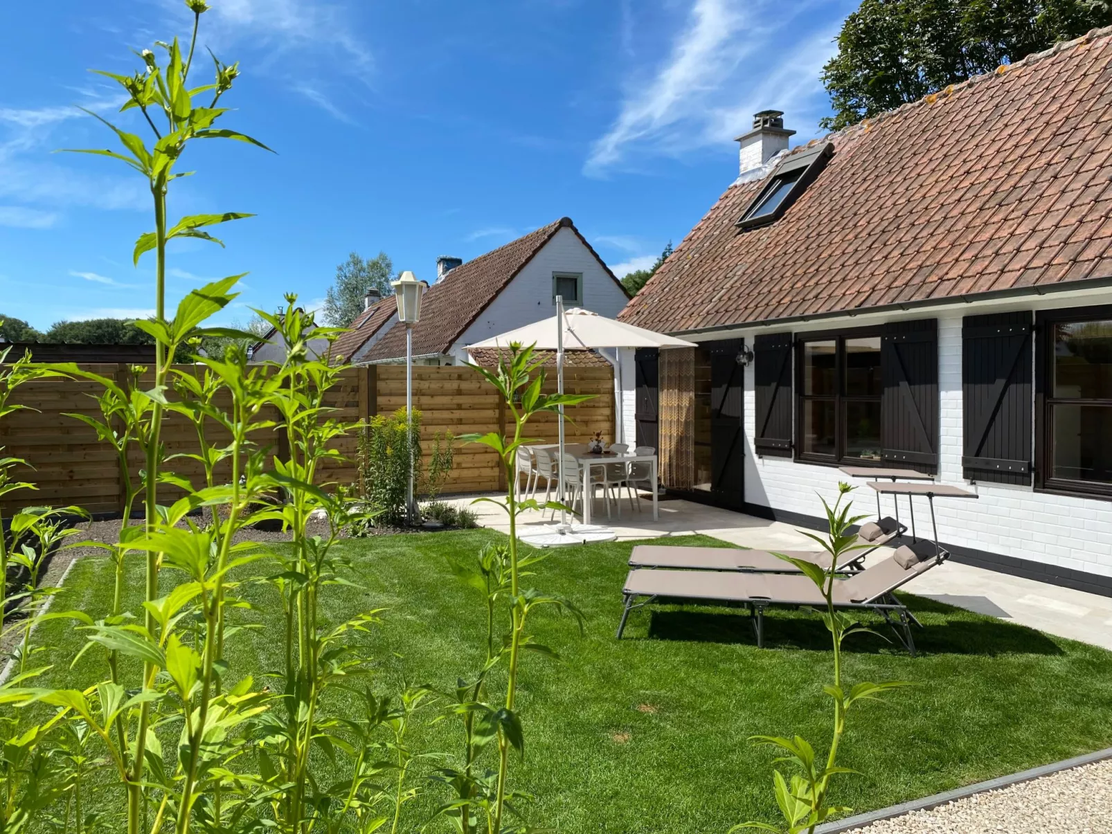 Zonnewind in der Nähe von Dünen und Wald