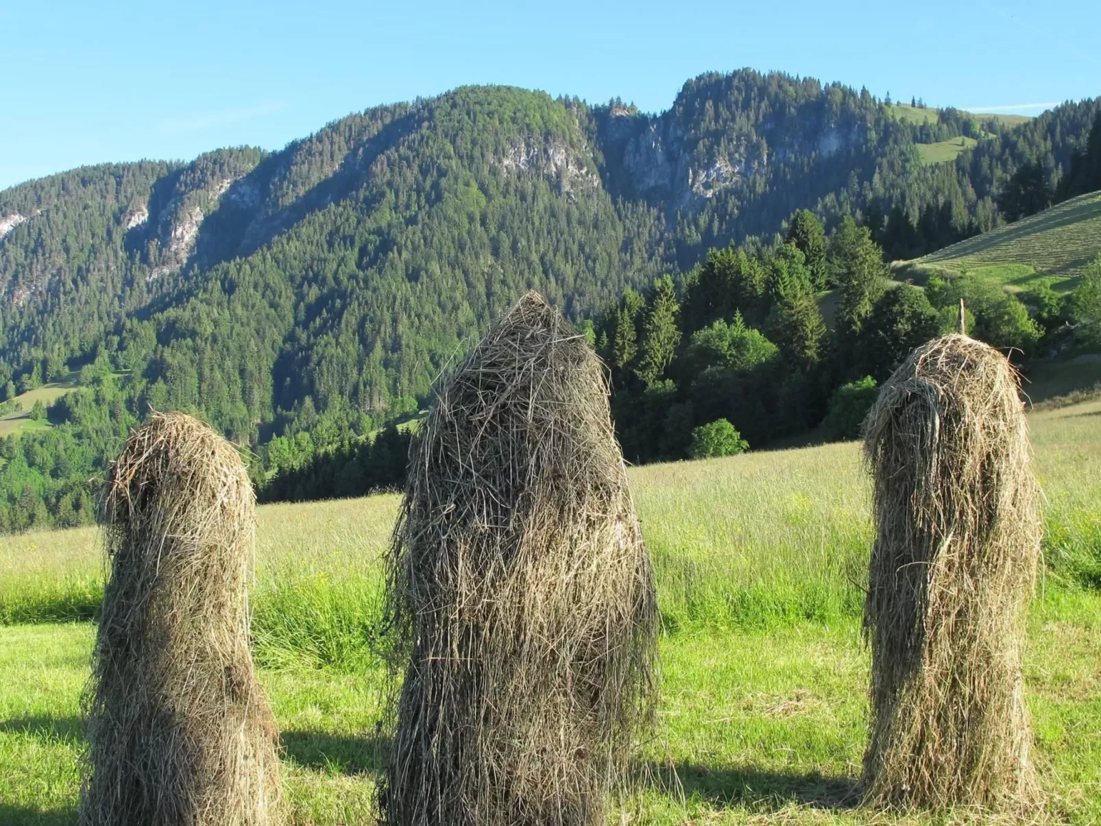 Fewo Bergblick-Buiten