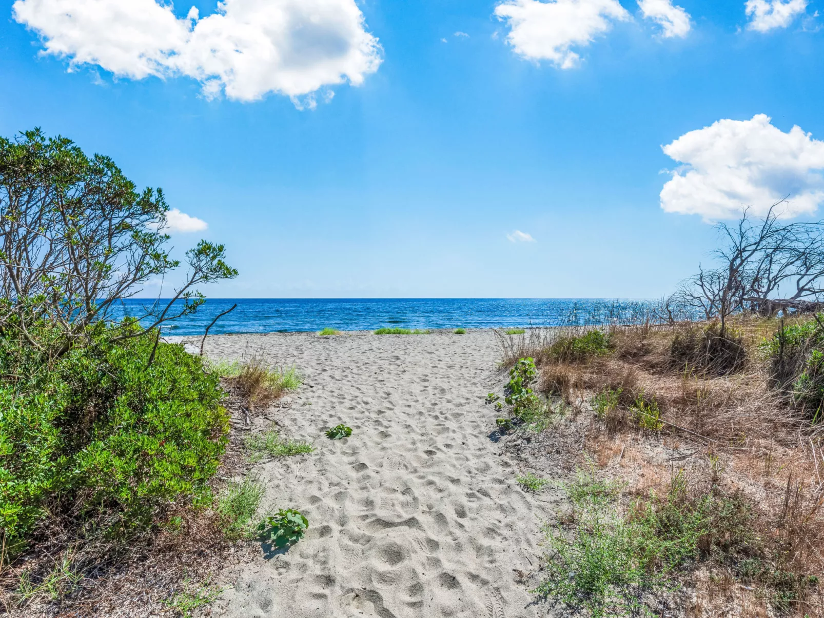 Villa Angelini-Omgeving