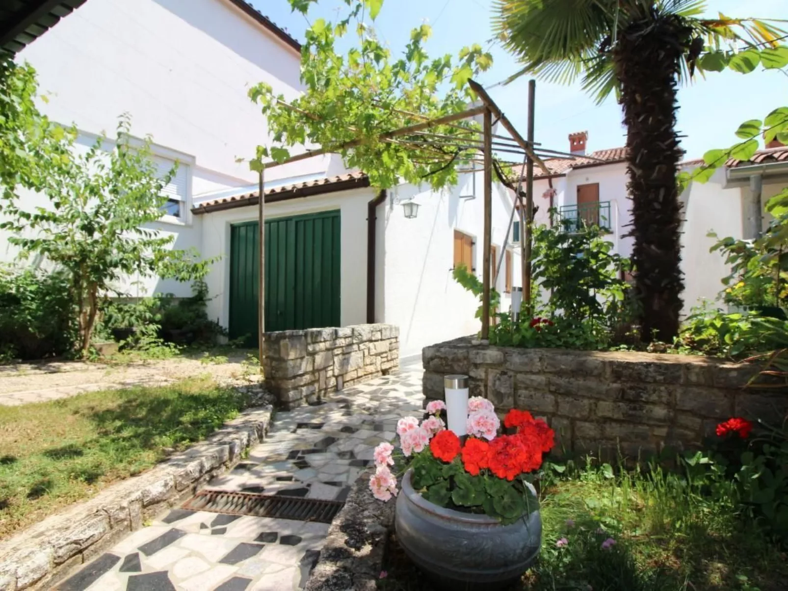 Lavanda-Image-tags.info