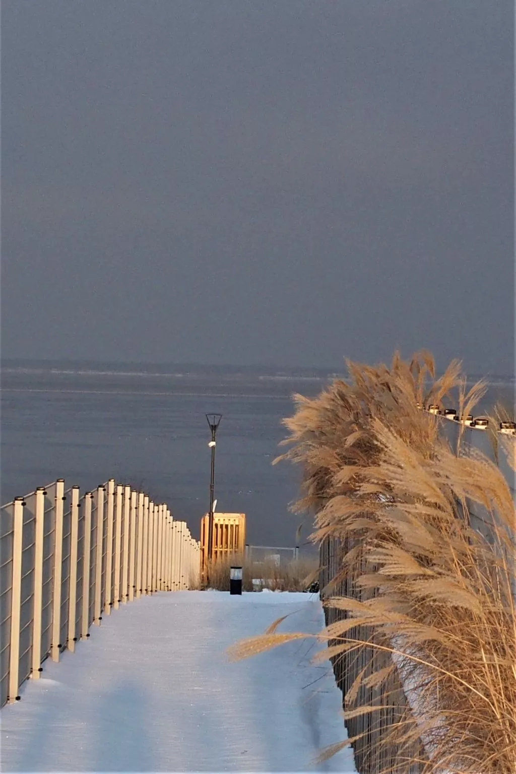 Moderne Ferienwohnung mit Balkon, nur 500 Meter von Meer und Strand entfernt-Buiten