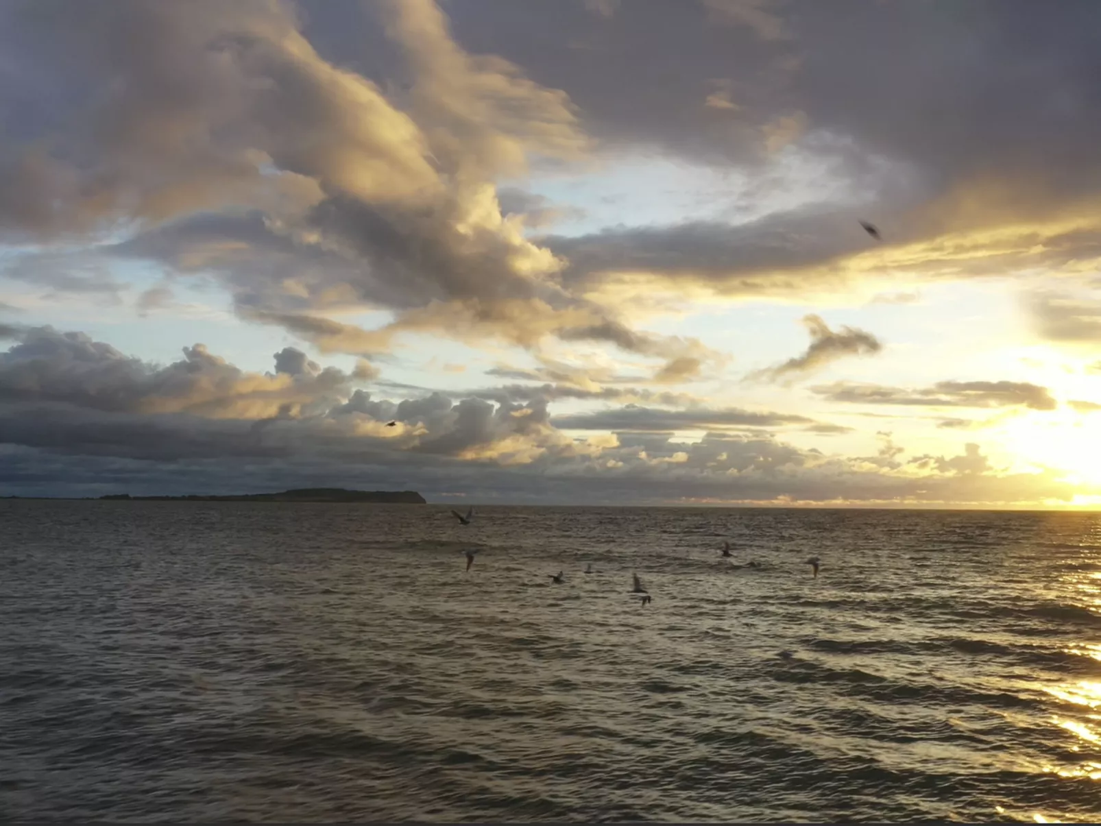 Reethaus Deichperle Breege-Image-tags.info