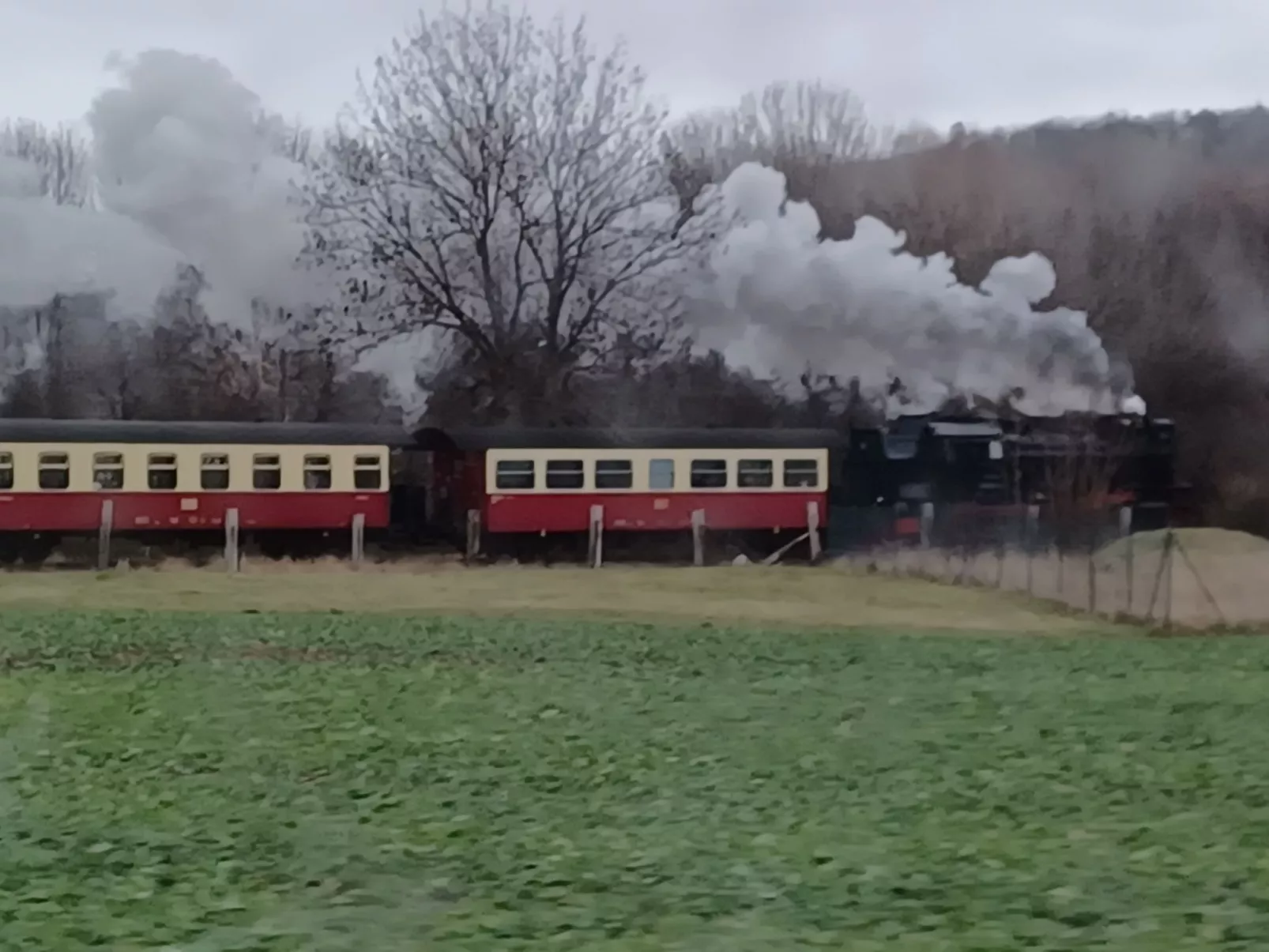 Burgi EG Hahnenklee-Buiten
