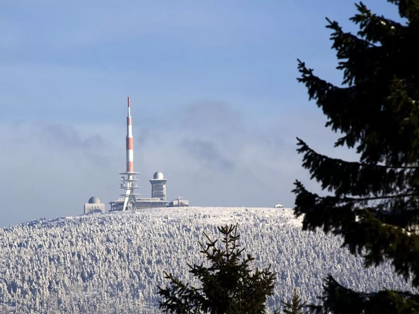 Wohnung in Bad Harzburg mit Garten-Buiten