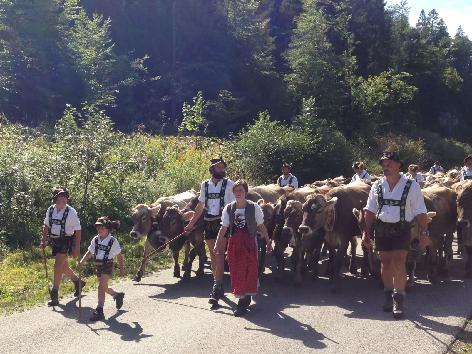 Sport Alpin Wh 130-Binnen