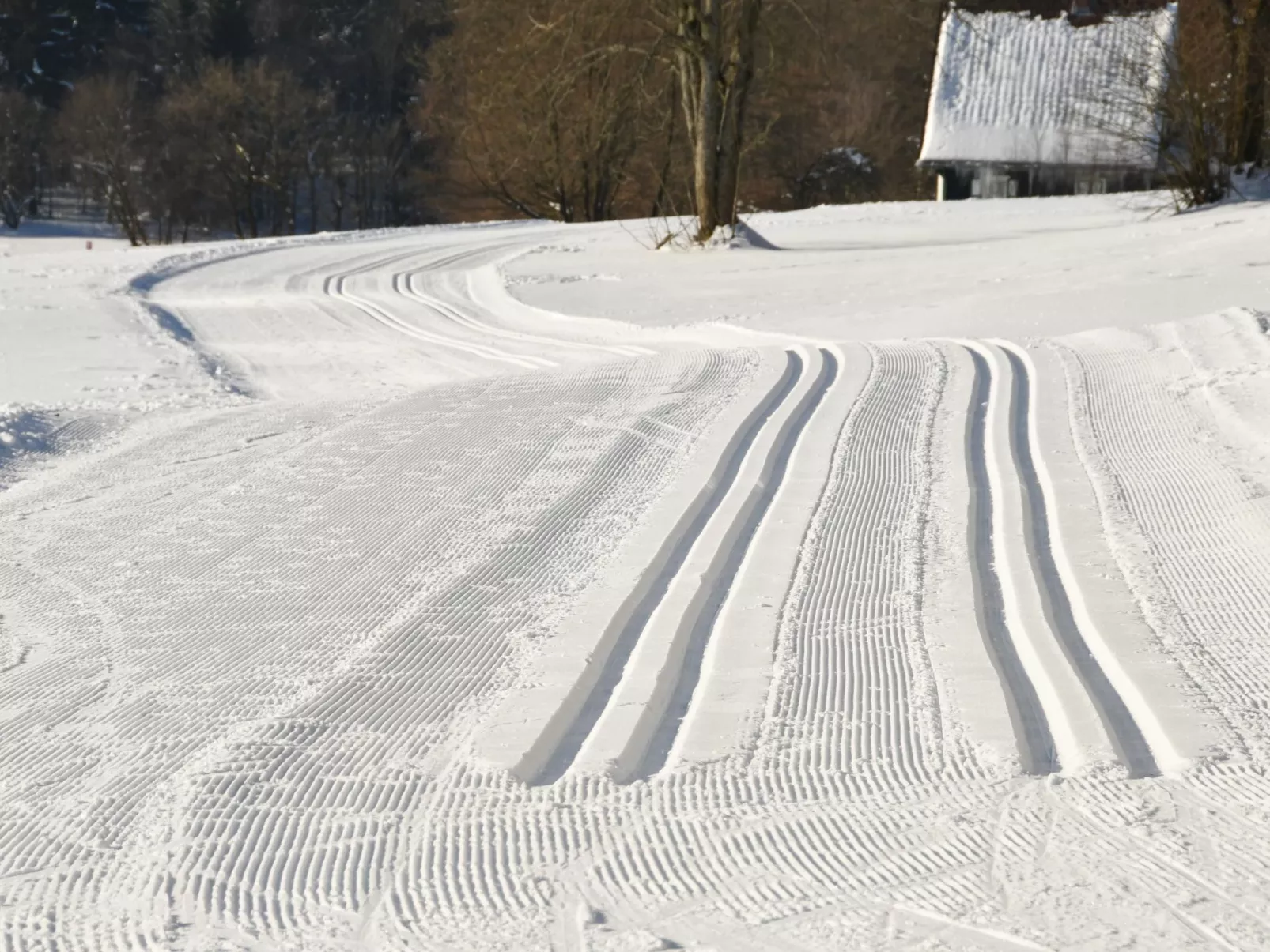 Große und moderne Ferienwohnung im Erdgeschoss-Buiten