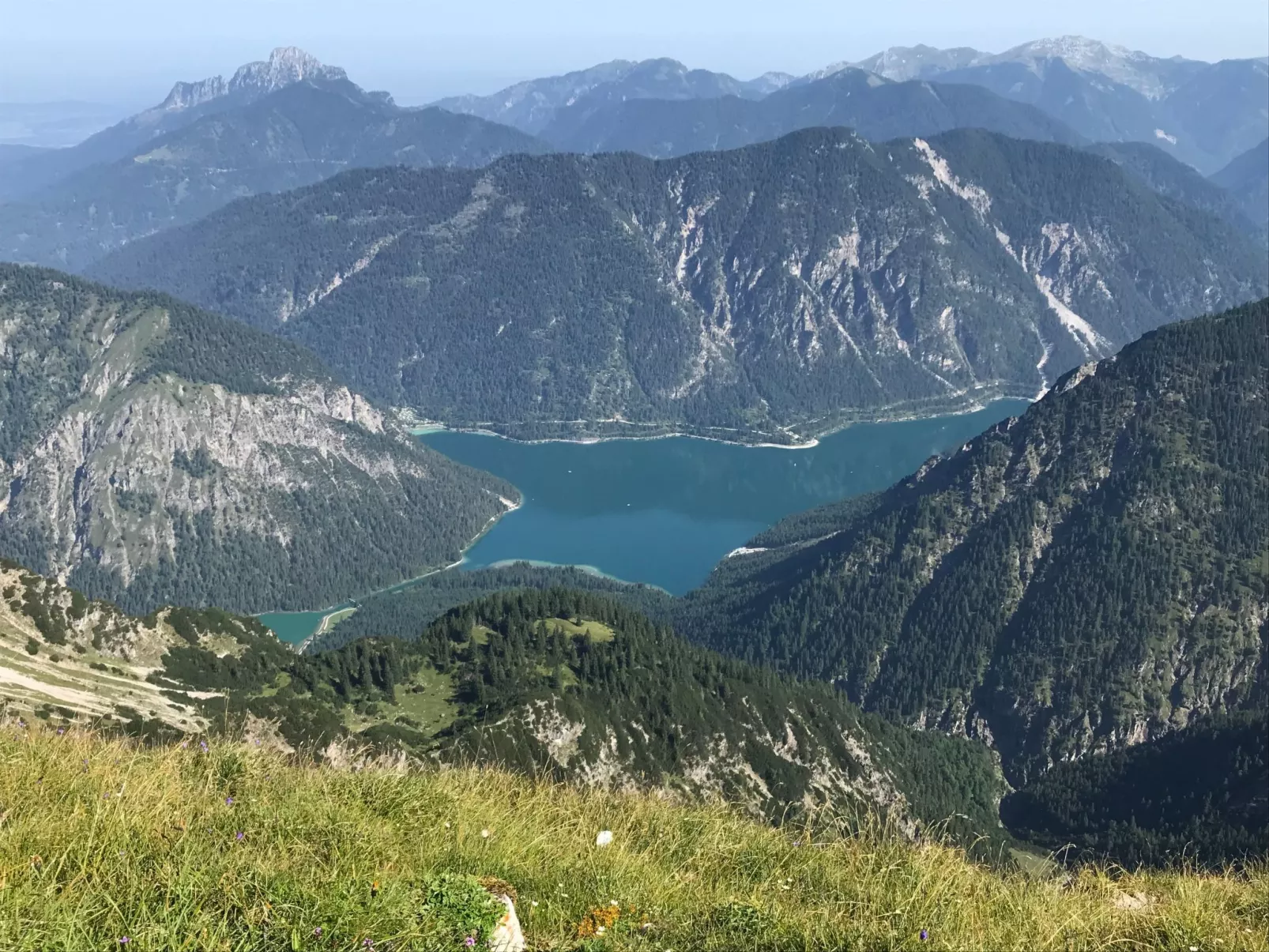 Pony-Ziegen-Hasen-Ranch in Bichlbach-Binnen