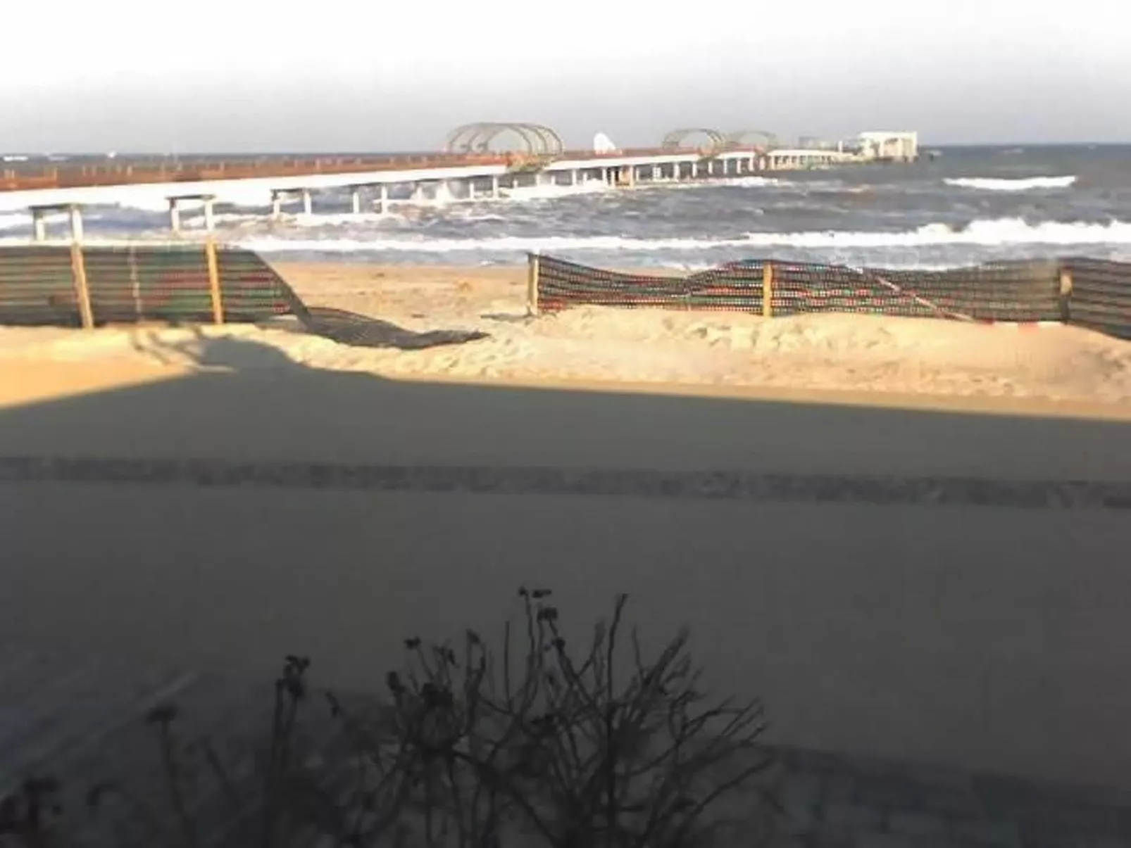 "Rosa Canina",W6-Image-tags.info